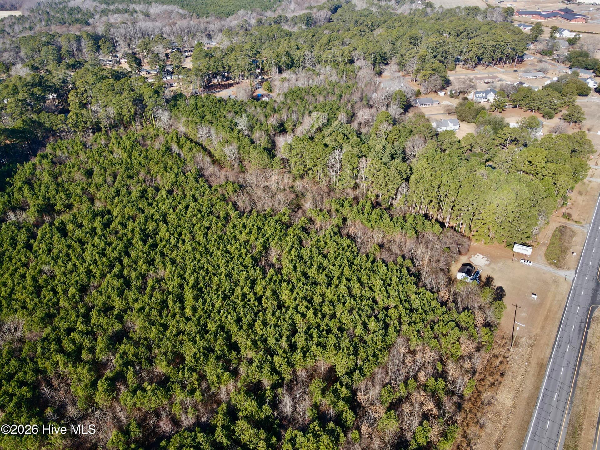 Wooded at 0 Alexander Lane, Williamston, NC 27892, photo 6 of 11