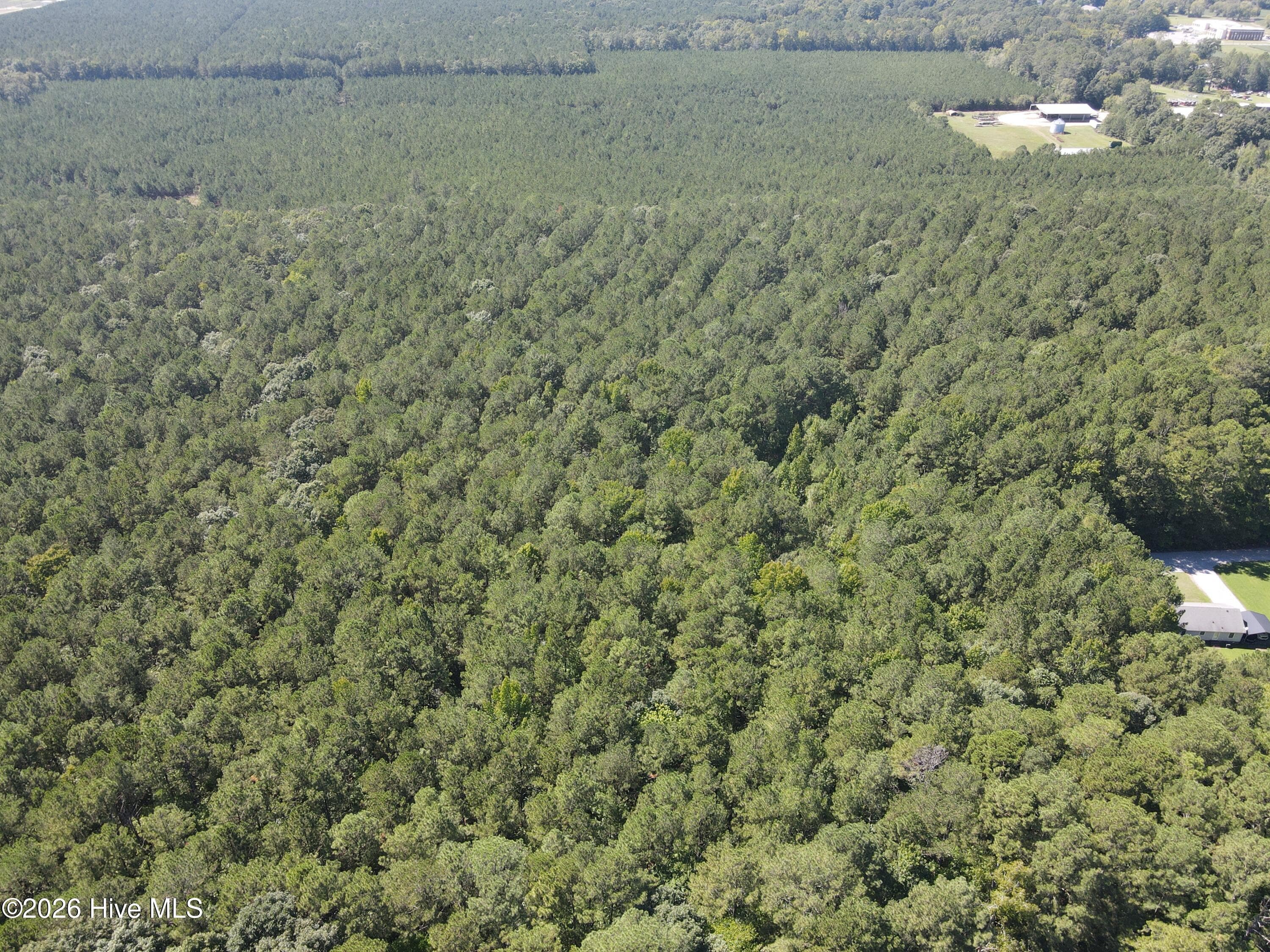 Wooded at Tbd Nc 305, Jackson, NC 27845, photo 6 of 9