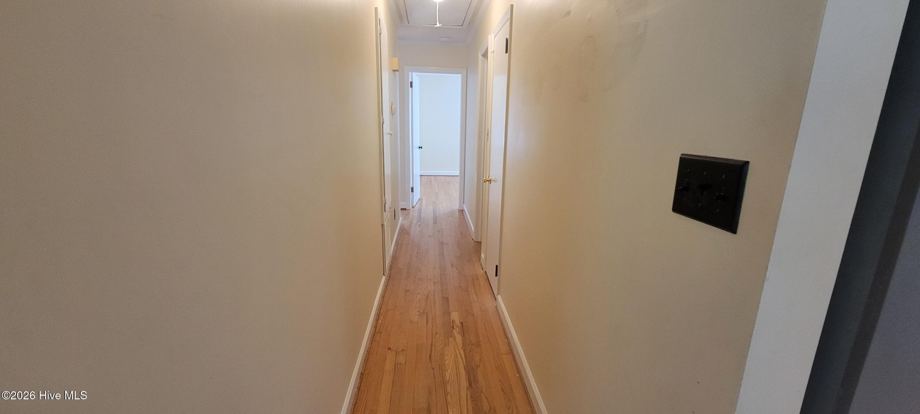 Hallway - 110 Landon Drive, Washington, NC 27889