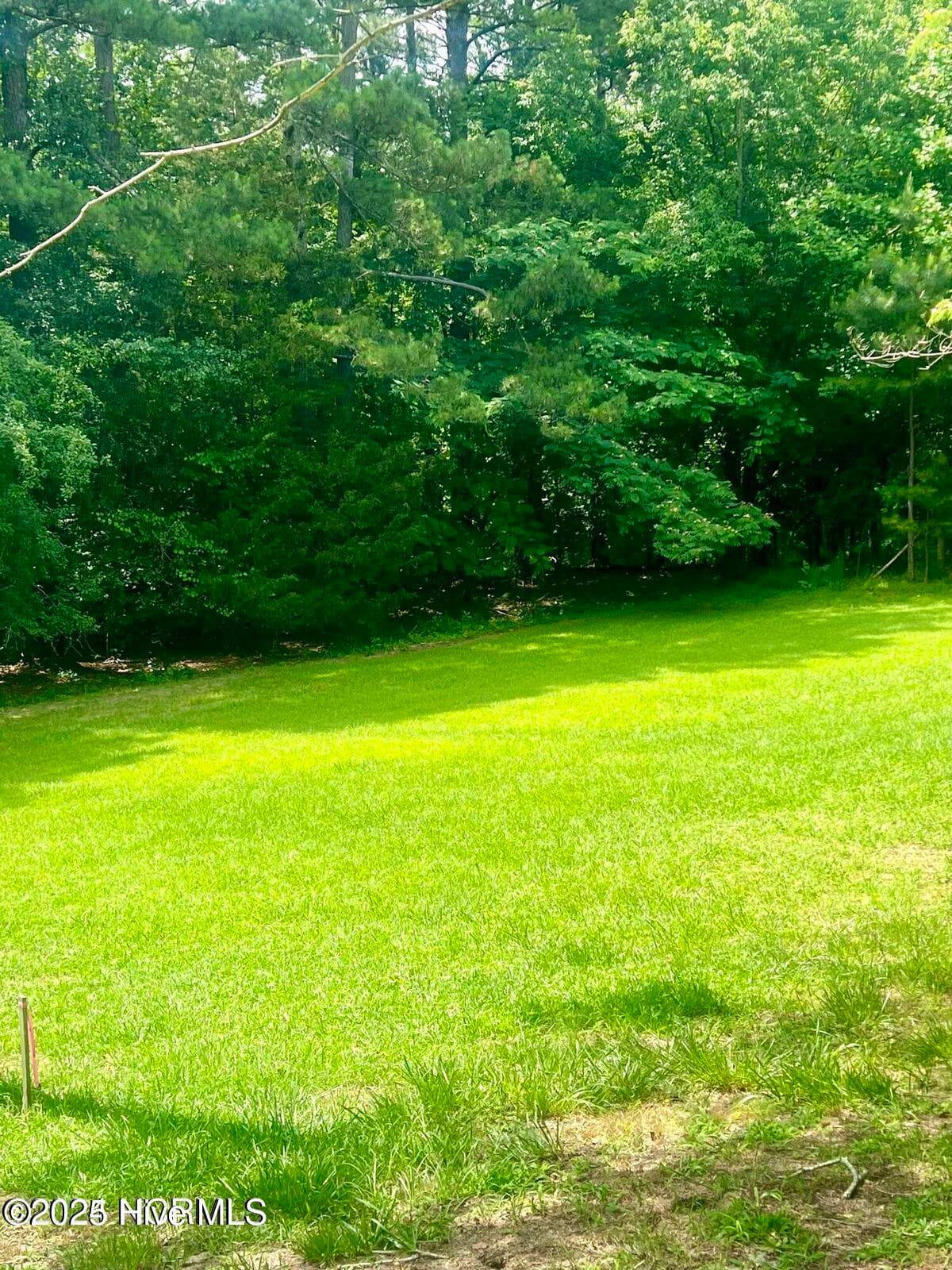 Undeveloped at 202 11 Millstone Court, West End, NC 27376, photo 10 of 10