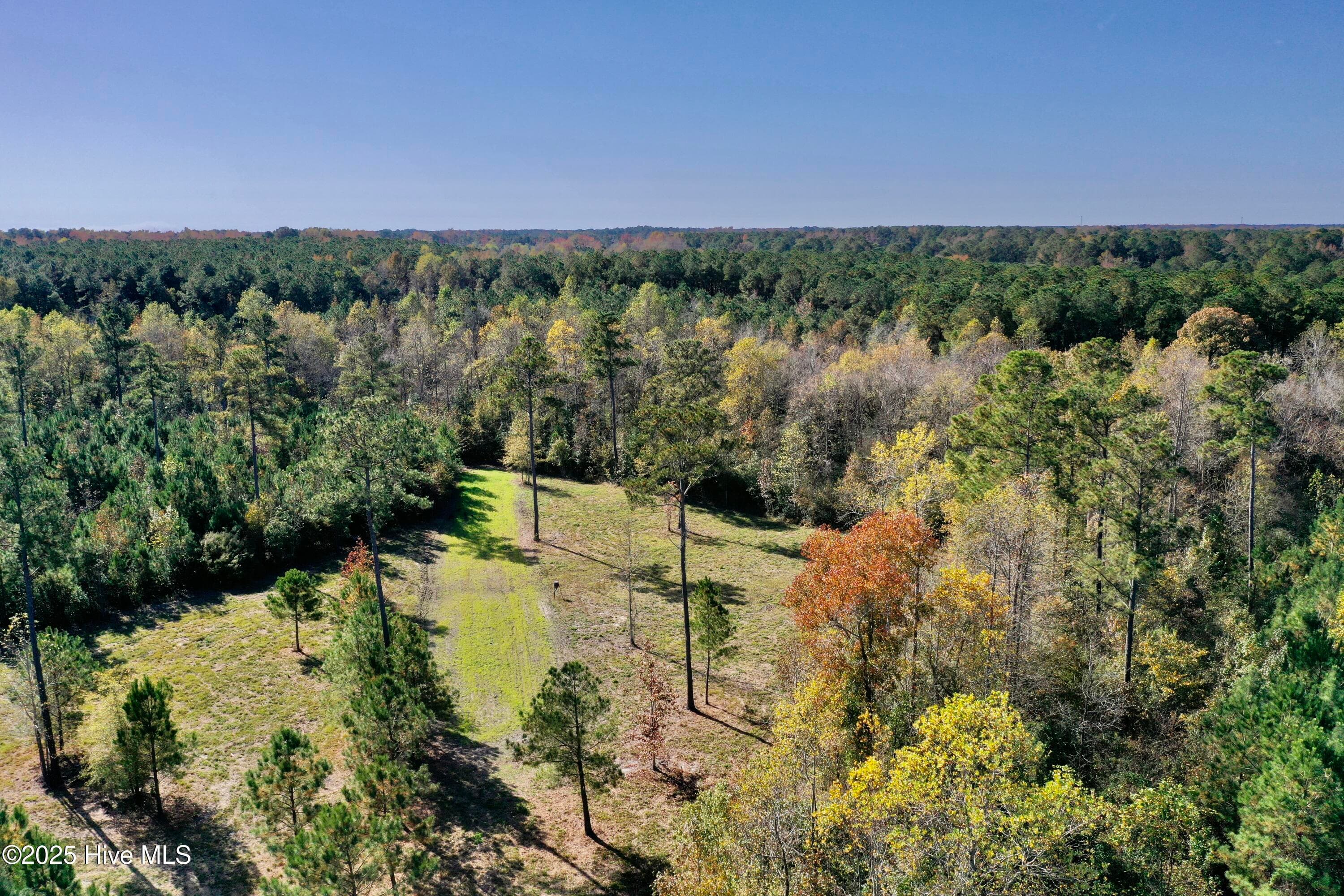 0 Near 4294 James B Wh, Whiteville, NC 28472