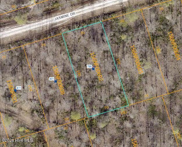 Wooded at 799 73 Jasmine Road, Boiling Spring Lakes, NC 28461, photo 3 of 5