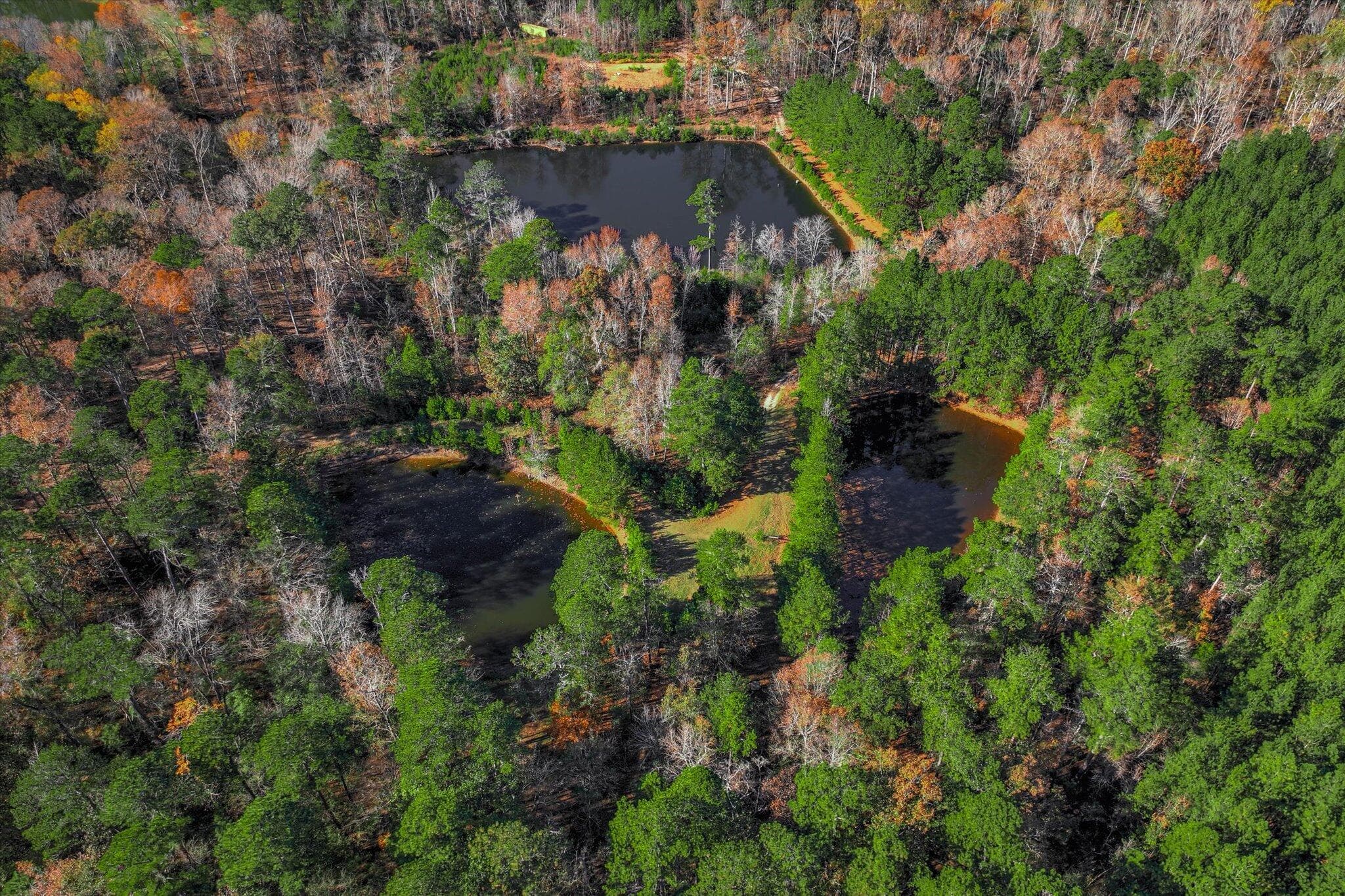 Mixed Use at 7501 Rainey Morris Road, Appling, GA 30802, photo 15 of 47