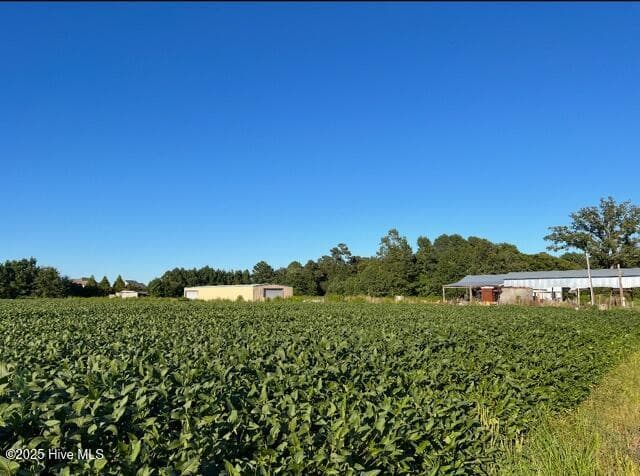 Farm at 0 Nc 111, Goldsboro, NC 27534, photo 5 of 11