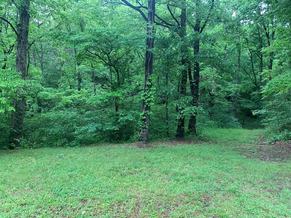 Residential at 805 Bethabara Road, Hayesville, NC 28904, Hayesville, photo 2 of 2