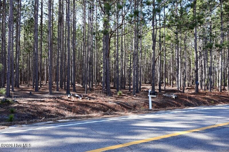 Wooded at Tbd 3 Nc Hwy 130 Road, Fairmont, NC 28340, photo 3 of 8