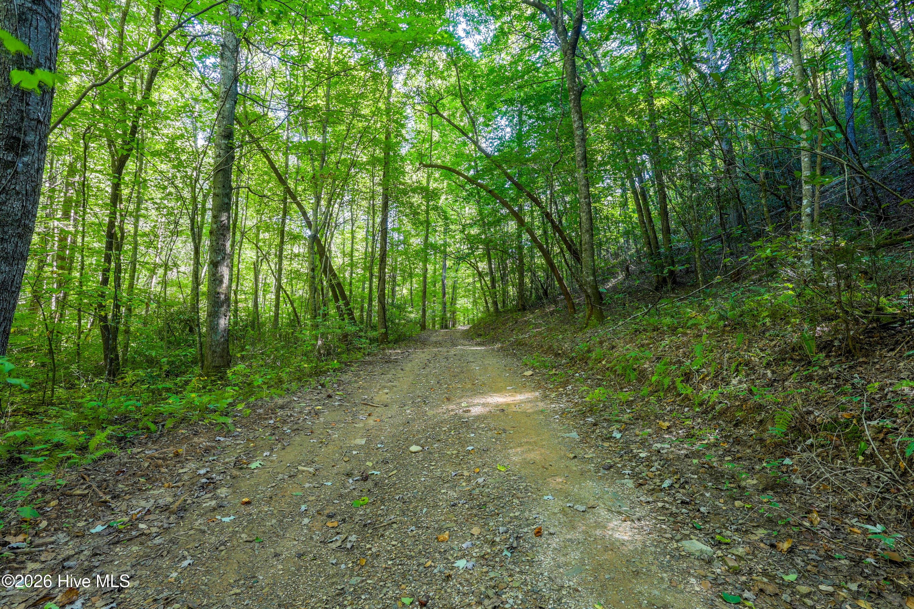 Wooded at 90 Ac Tree House Road, Andrews, NC 28901, photo 4 of 19