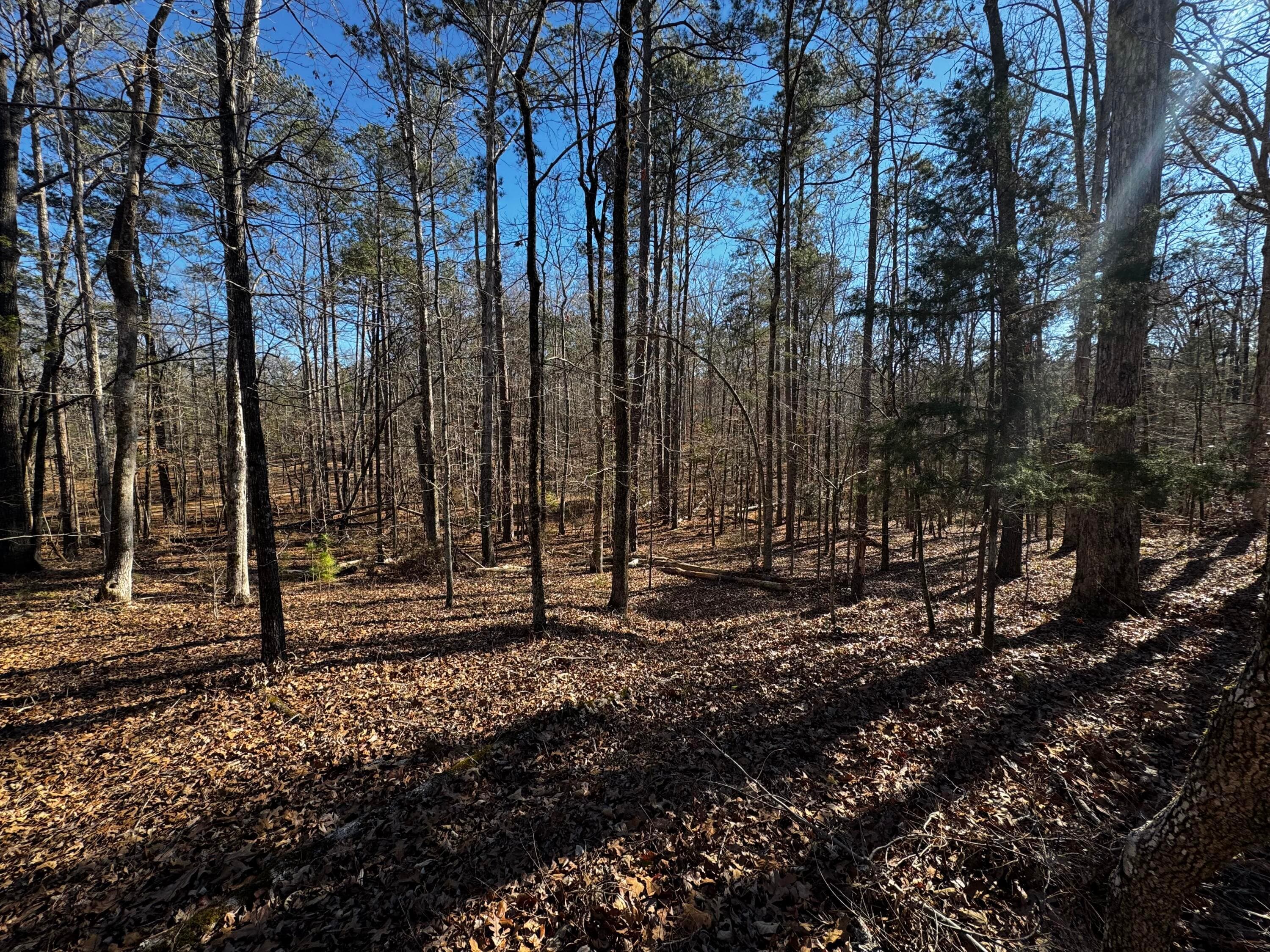 Mixed Use at 0 Forest Lake Drive, Lincolnton, GA 30817, photo 12 of 12
