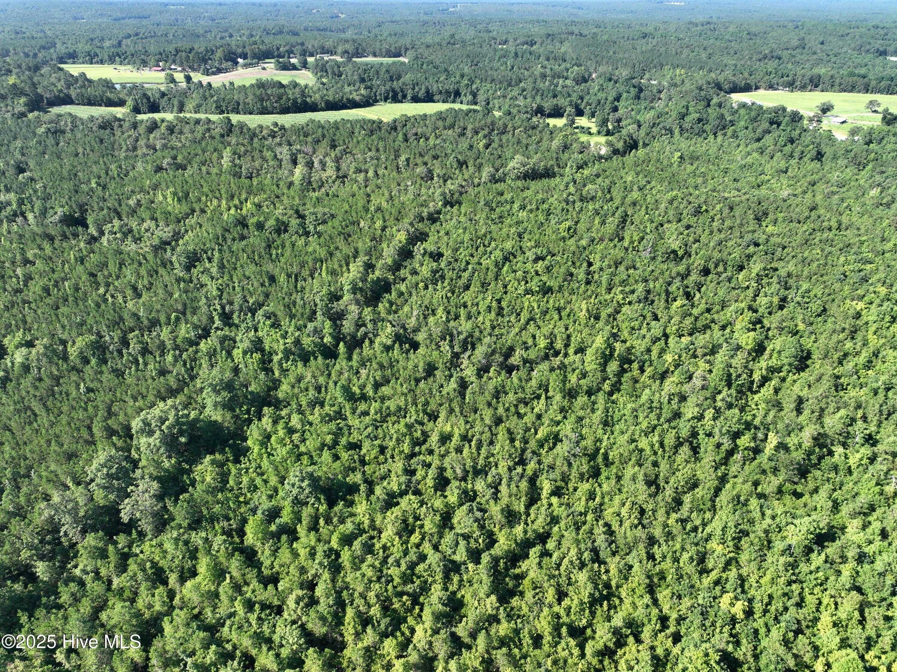Wooded at Lot B Carthage Road, West End, NC 27376, photo 2 of 3