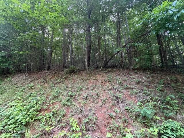 Undeveloped at Lot 59 Quiet Mountain Trail, Murphy, NC 28906, photo 8 of 10