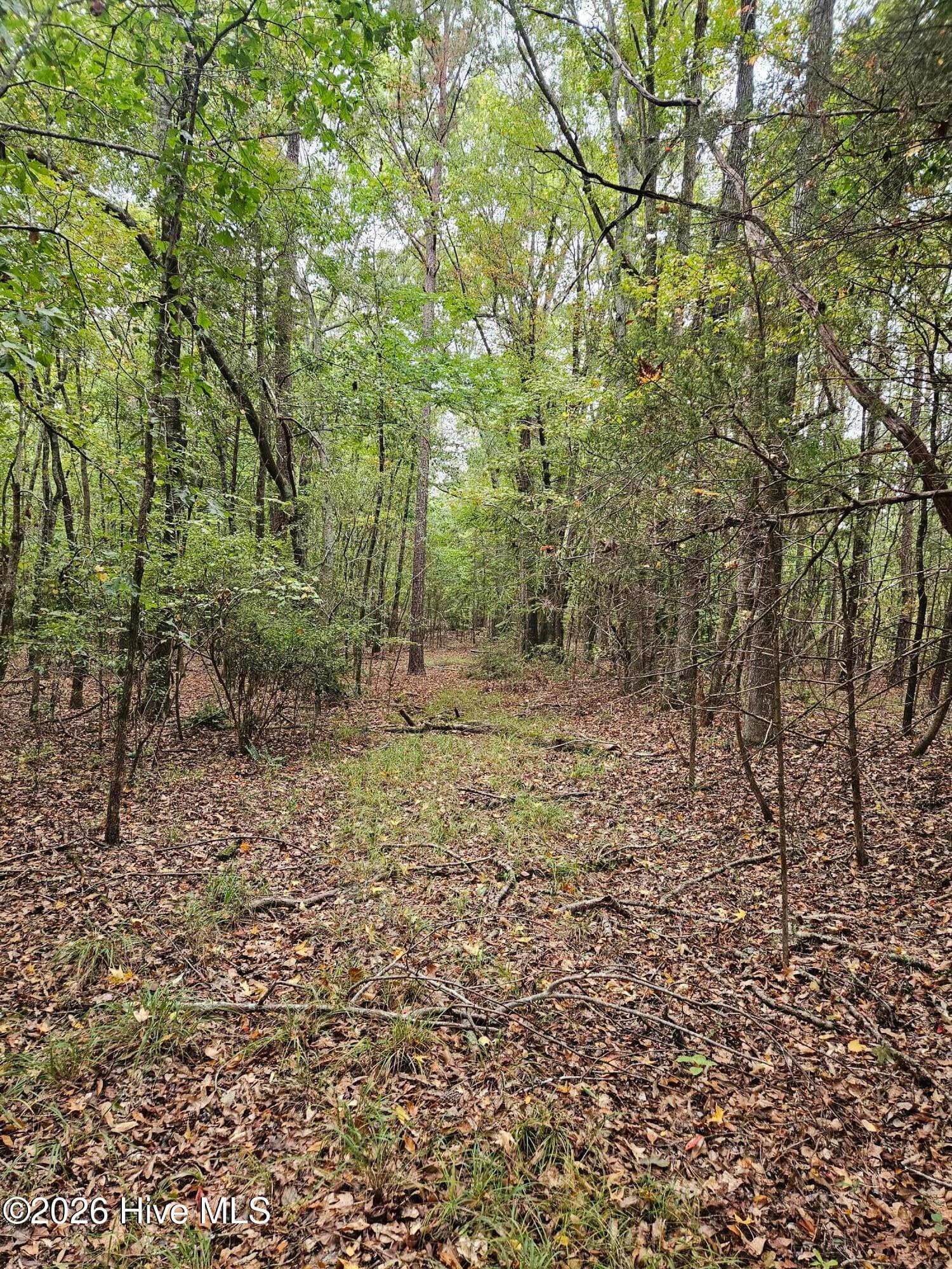Wooded at 0 Washington Highway, Lincolnton, GA 30817, photo 8 of 11