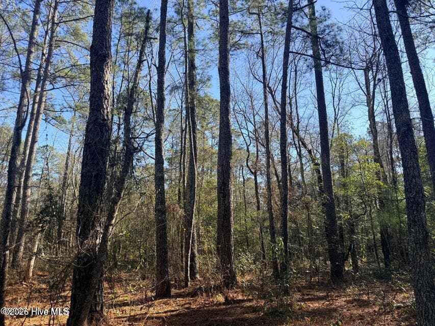 Residential Lot at Lot 4 Peach Court, Burgaw, NC 28425, photo 2 of 8