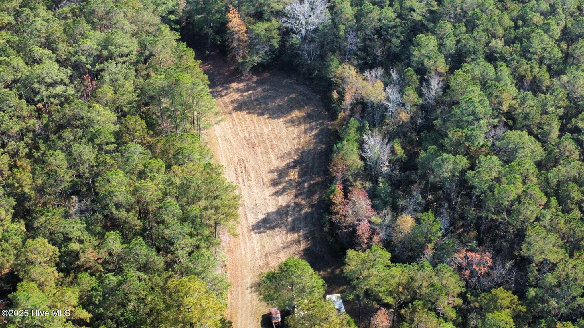 Wooded at Tbd Ash Little River Road NW, Ash, NC 28420, photo 11 of 15