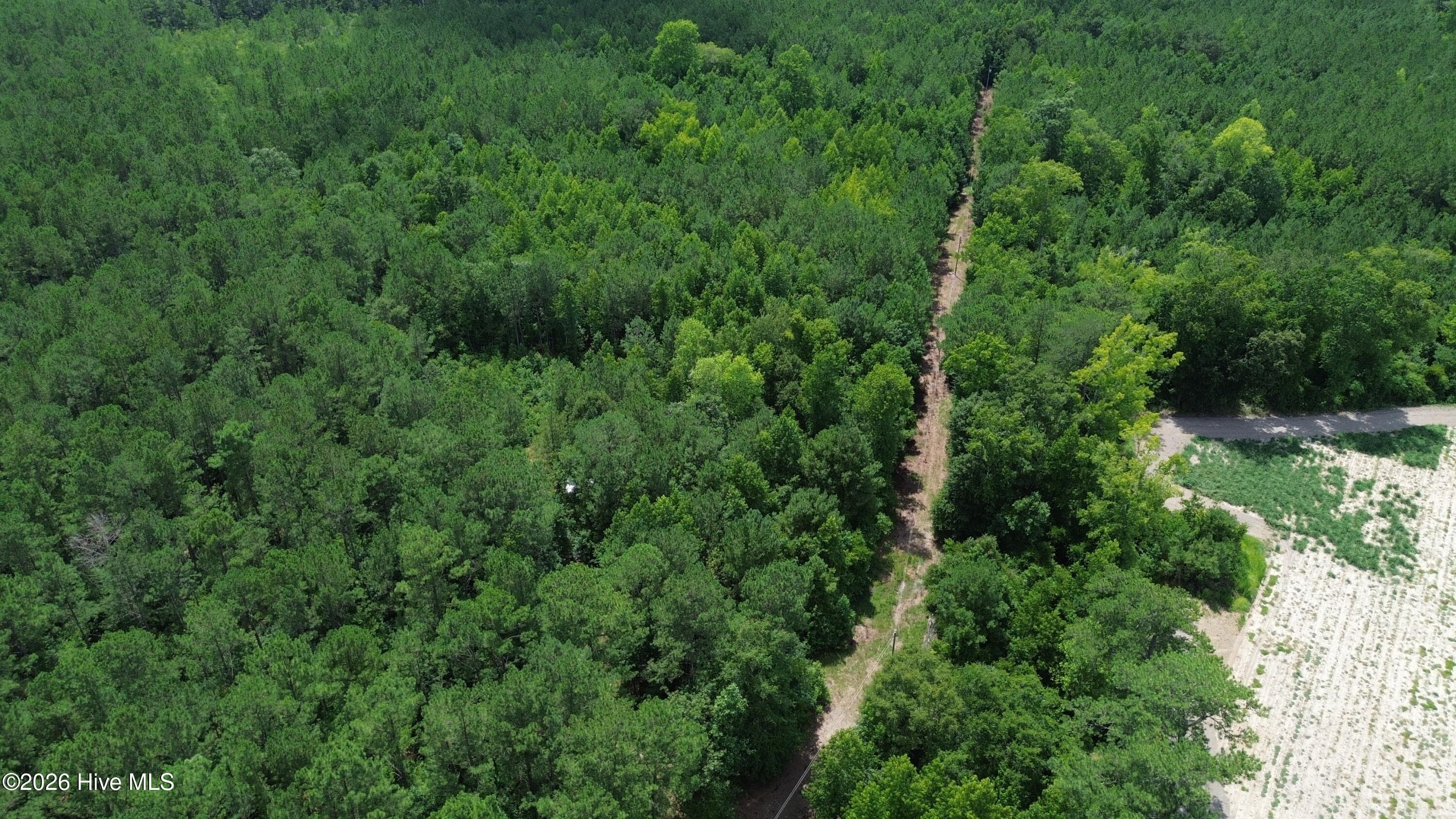 Wooded at Tbd Point Caswell Road, Atkinson, NC 28421, photo 6 of 16
