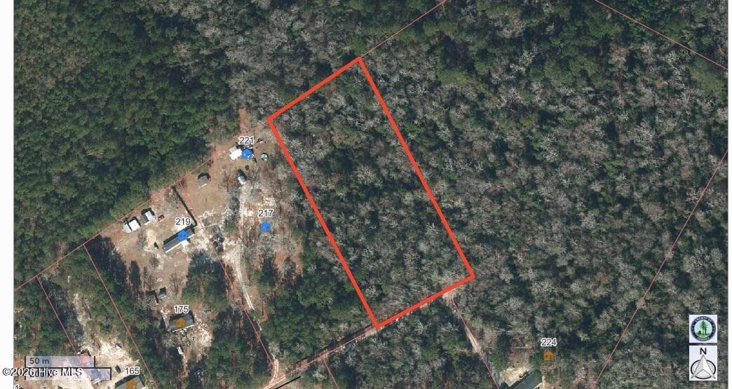 Undeveloped at Lot 4 4 Oak Haven Road, Atkinson, NC 28421, photo 3 of 6