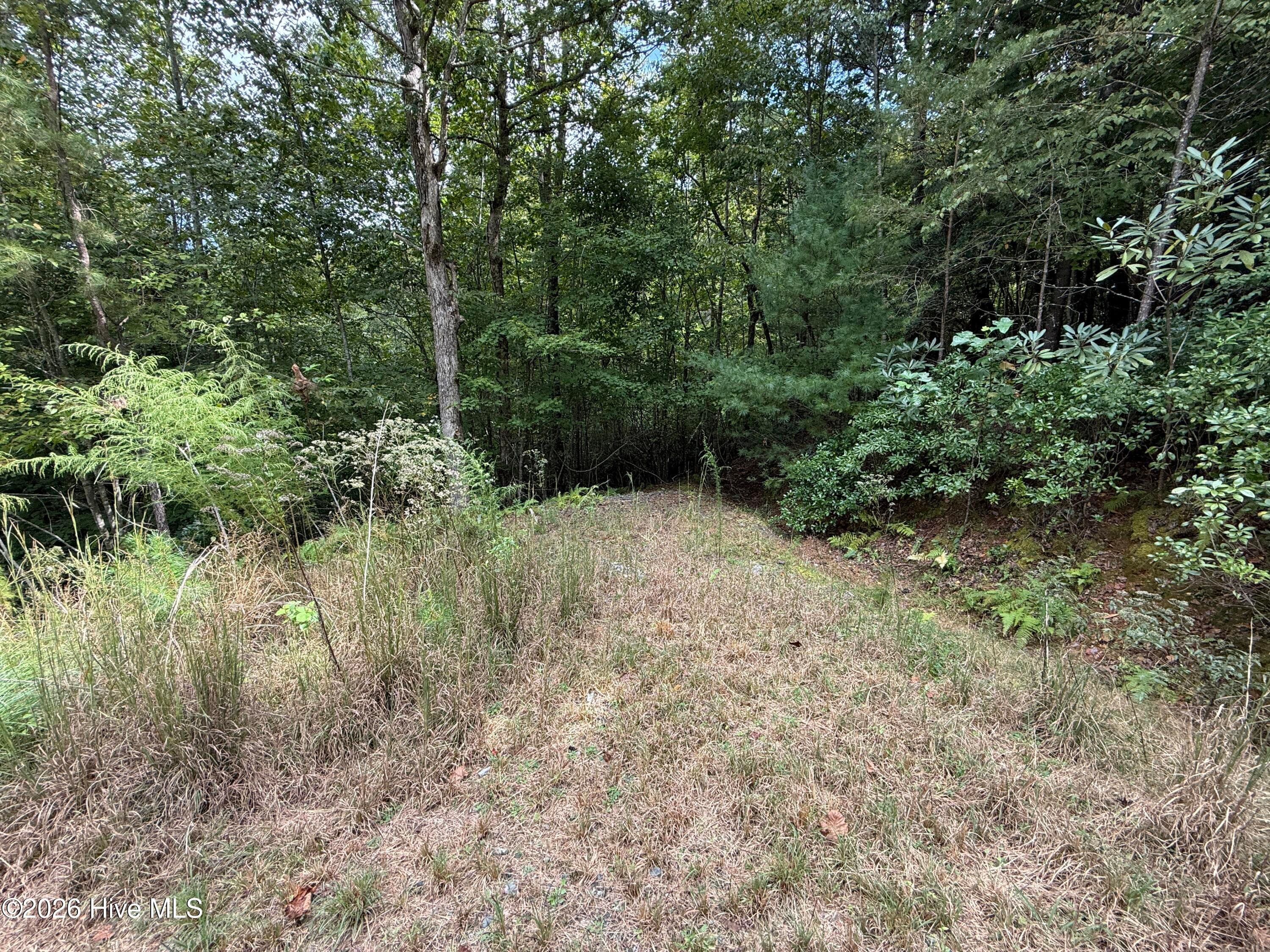 Residential Lot at 190 Leisey Lane, Murphy, NC 28906, photo 2 of 7