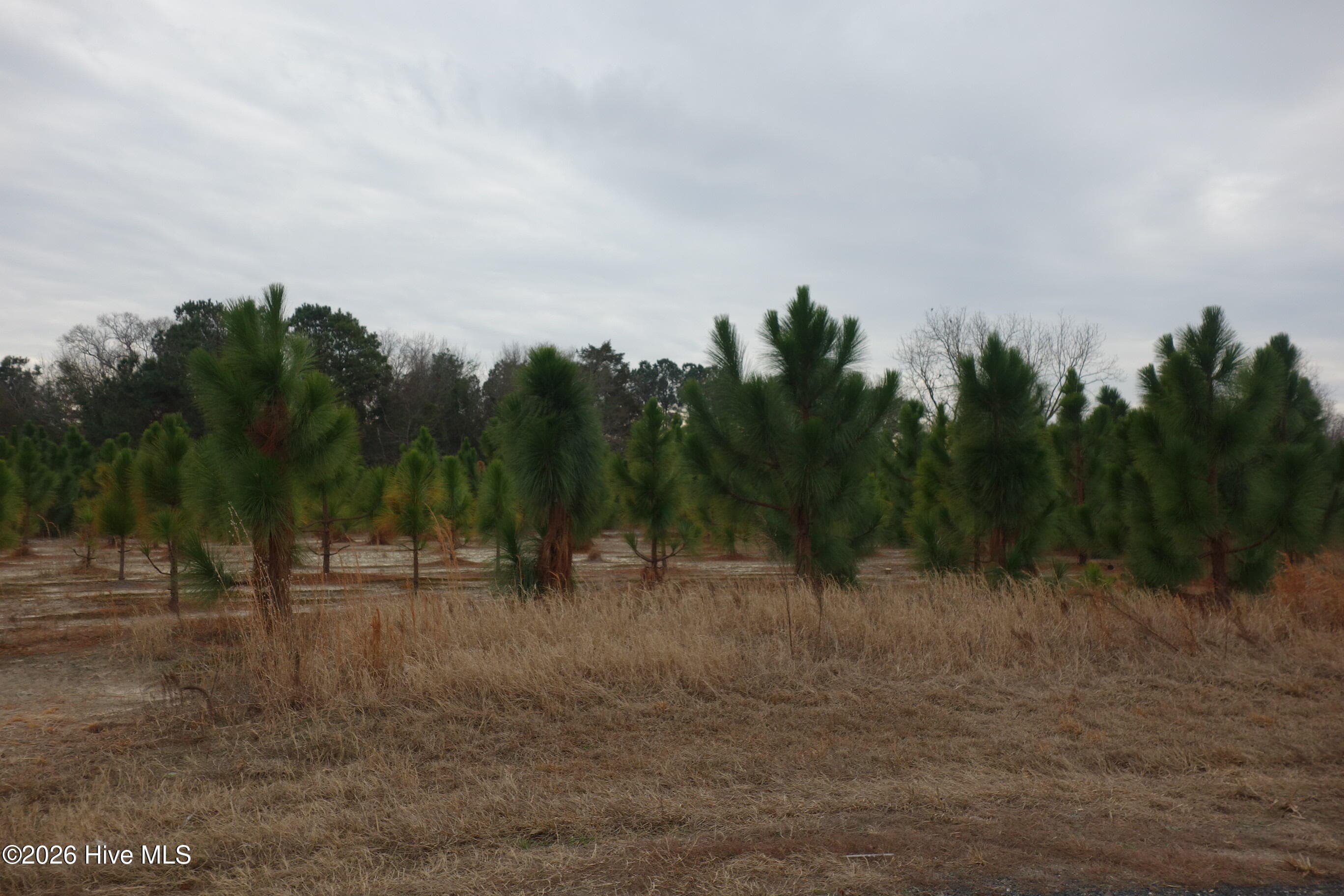 Lot 43 Stuarts Mill Road, Fairmont, NC 28340