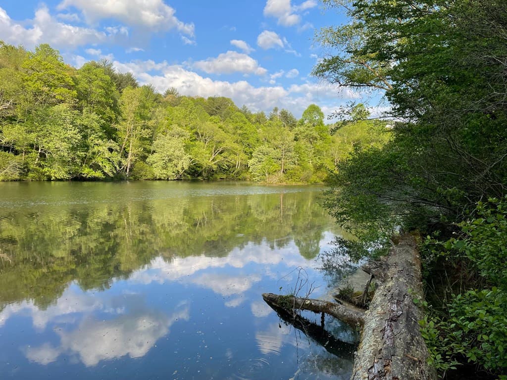 Land at N/A Trillium Heights, Hayesville, NC 28904, photo 7 of 25