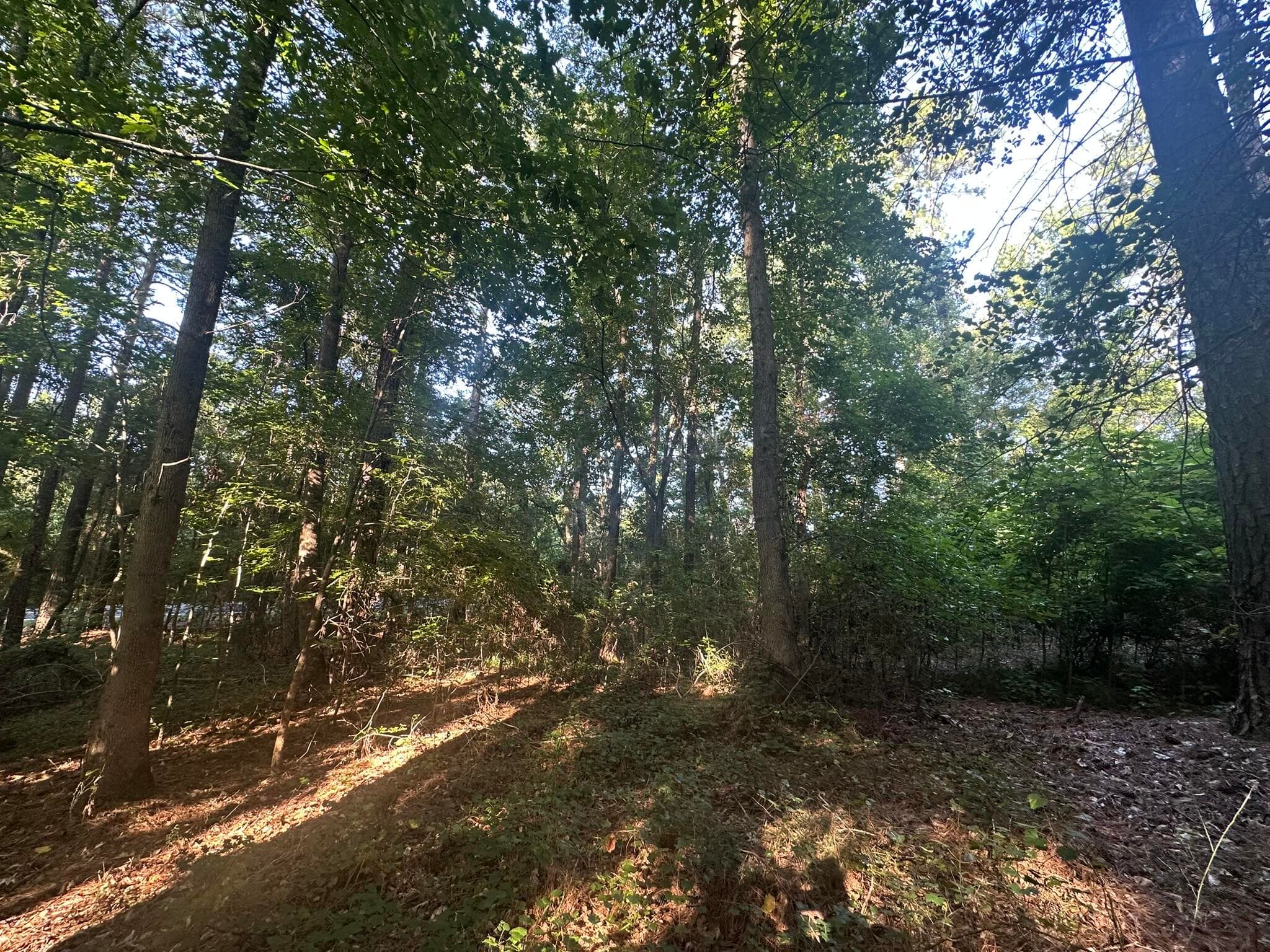 Mixed Use at Lot 3a 3A Elberton Highway, Lincolnton, GA 30817, photo 13 of 27