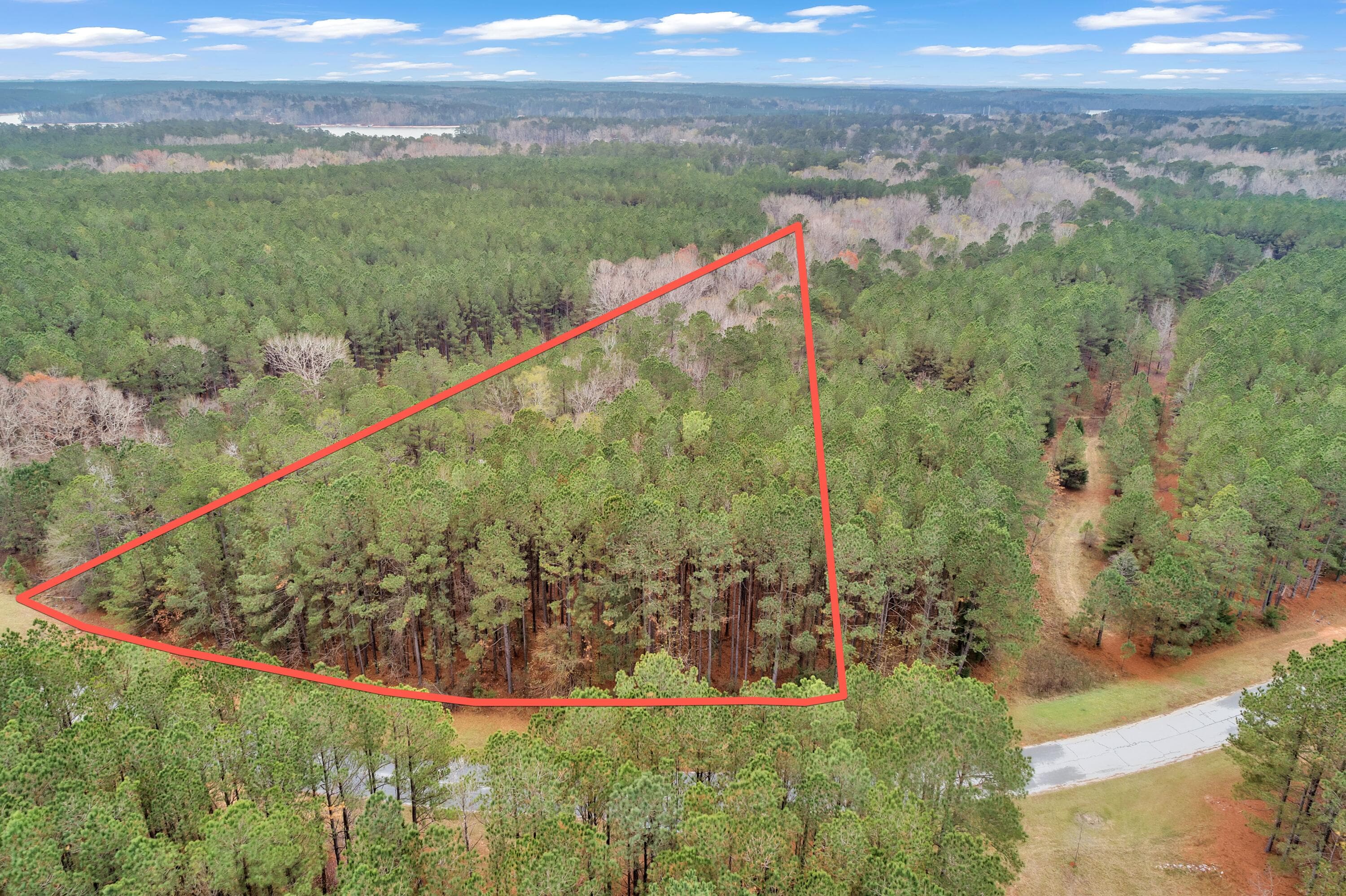 Residential Lot at 1252 294 Rogers Road, Tignall, GA 30668, photo 10 of 29