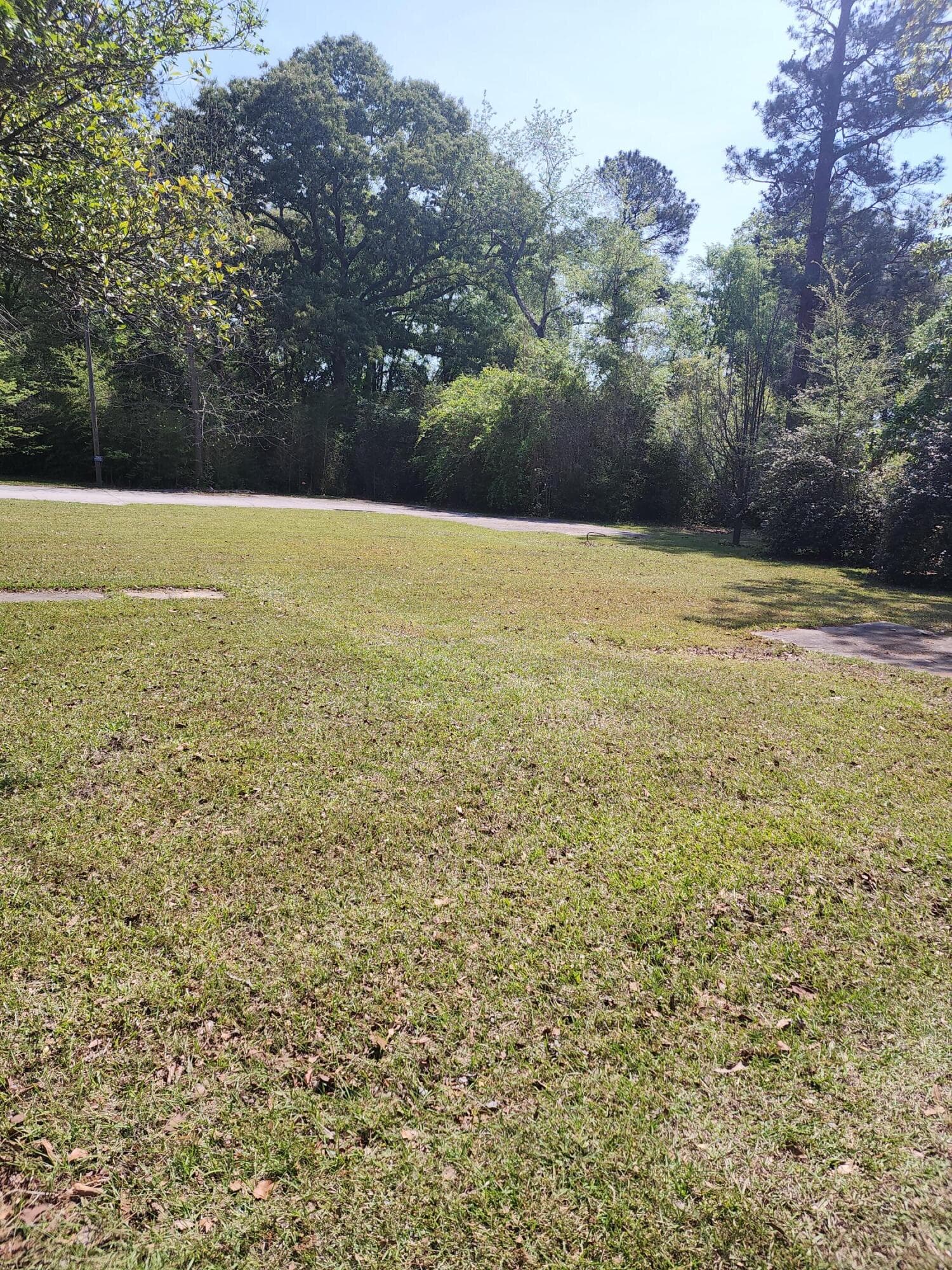 From Main ST - 209 Main Street, Wadley, GA 30477