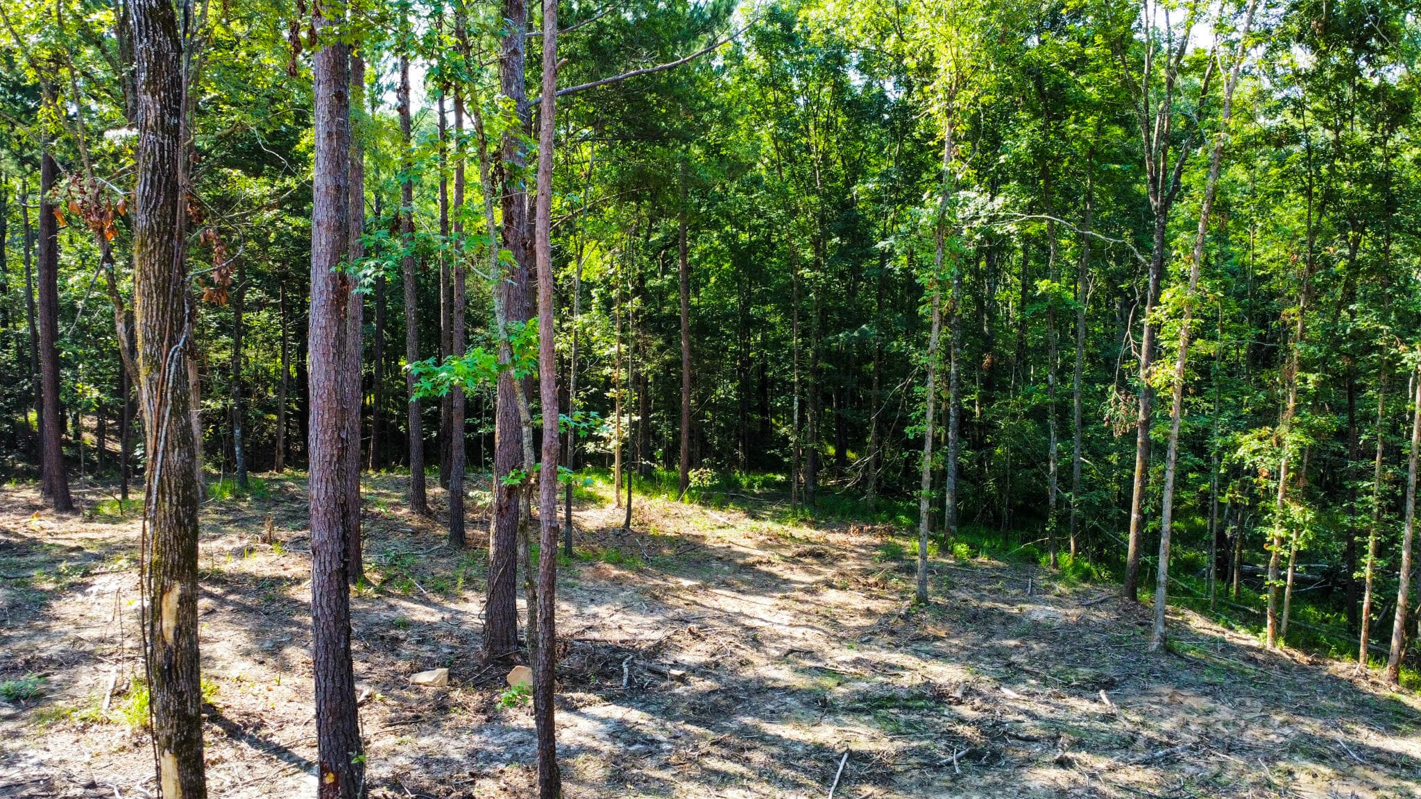 Undeveloped at 0 Backway Road, Lincolnton, GA 30817, photo 35 of 48