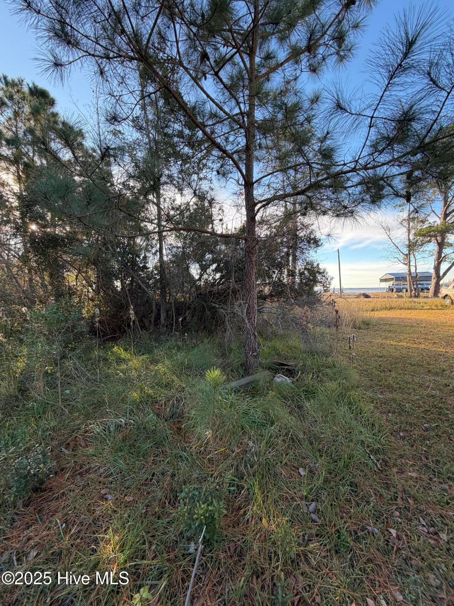 Wooded at 0 Sr 1730 Old Pamlico Beach Road West, Belhaven, NC 27810, photo 8 of 12