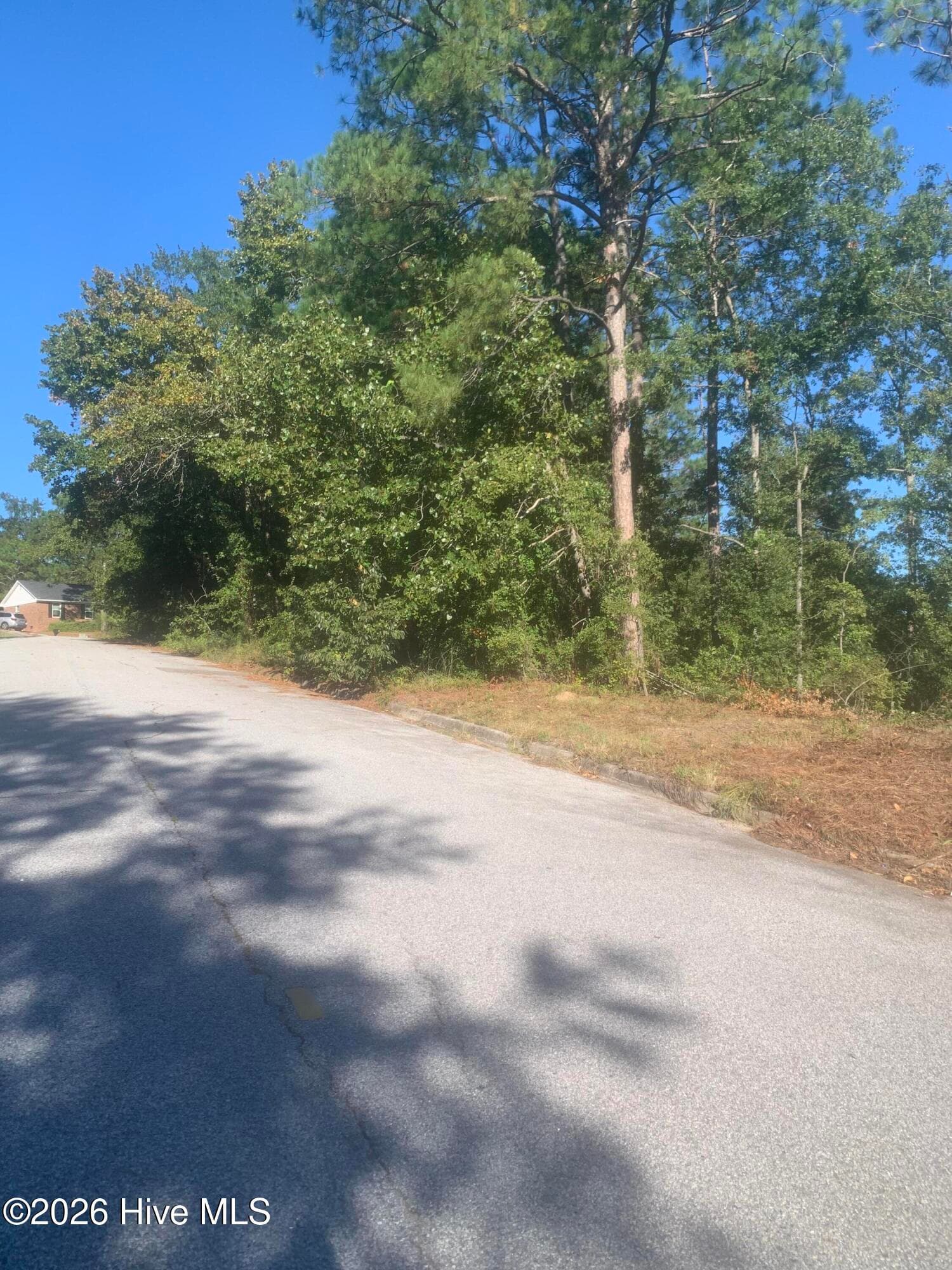 Residential Lot at 2333 Rutherford Avenue, Augusta, GA 30906, photo 14 of 16