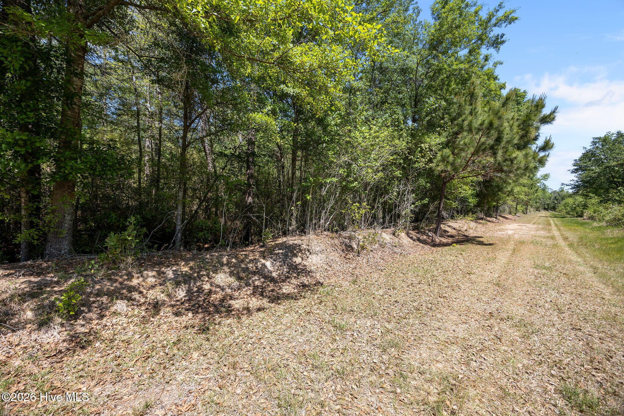 Farm at 7529 Sidney-Cherry Grove Road, Tabor City, NC 28463, photo 15 of 15