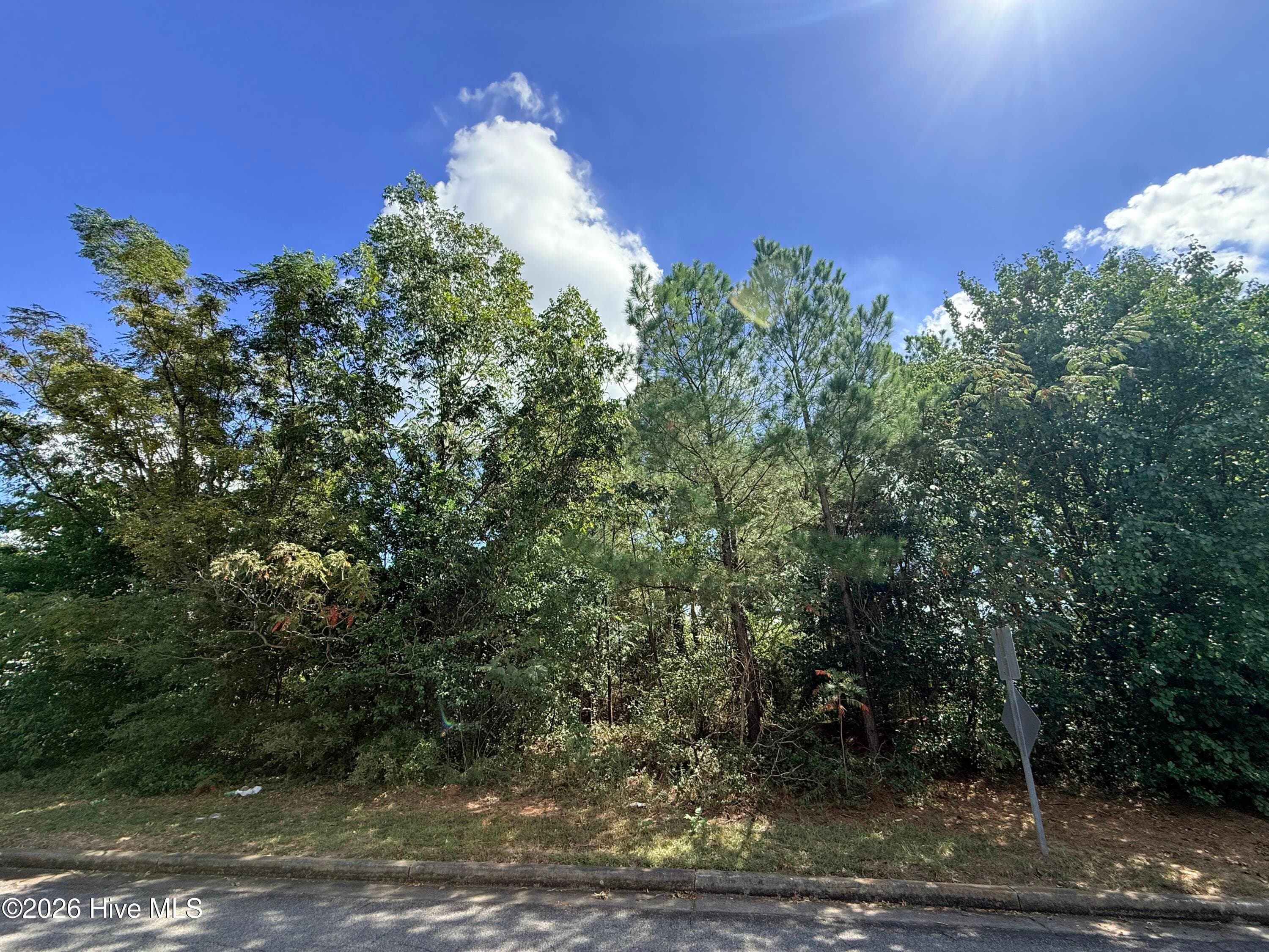 Wooded at 105 N Hills Drive, North Augusta, SC 29841, photo 2 of 2