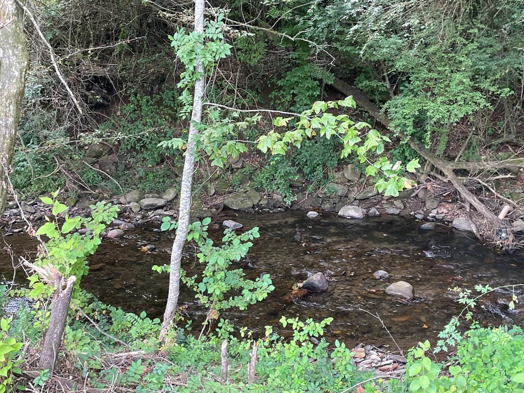 Land at 00 Highway 19, Andrews, NC 28901, photo 14 of 20