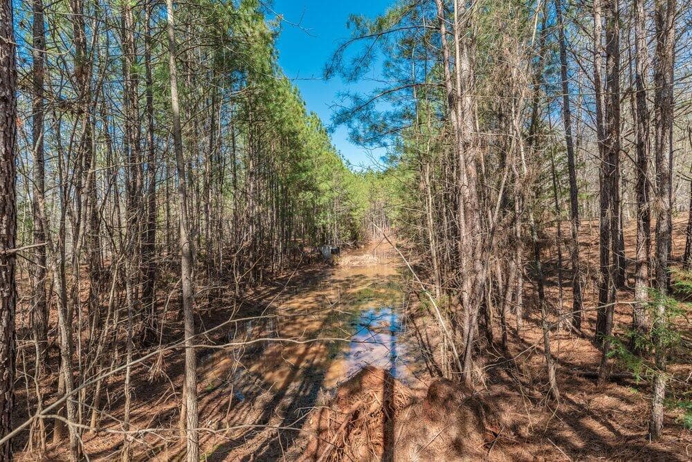 Residential Lot at 1421 14 Dunwoody Place, Appling, GA 30802, photo 11 of 16
