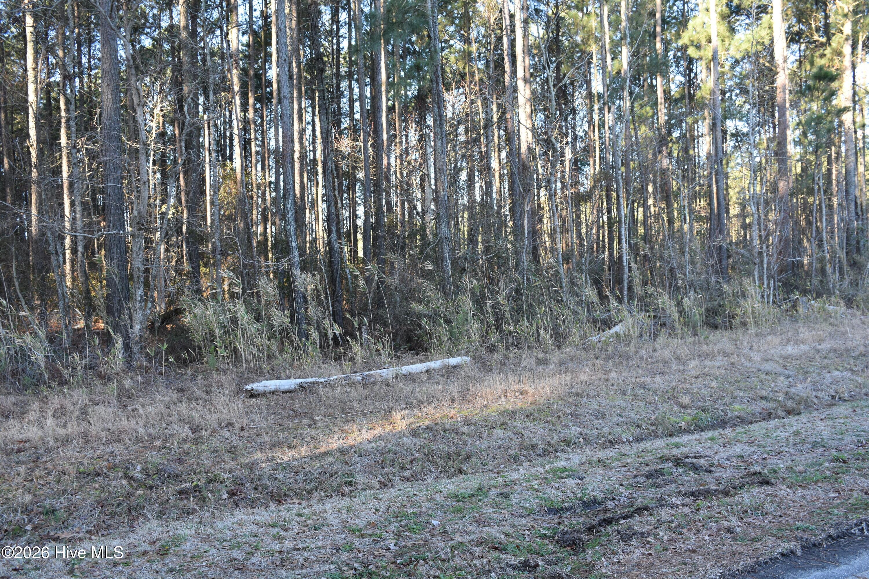 Residential Lot at 97 Mcgowan Road, Bath, NC 27808, photo 5 of 10