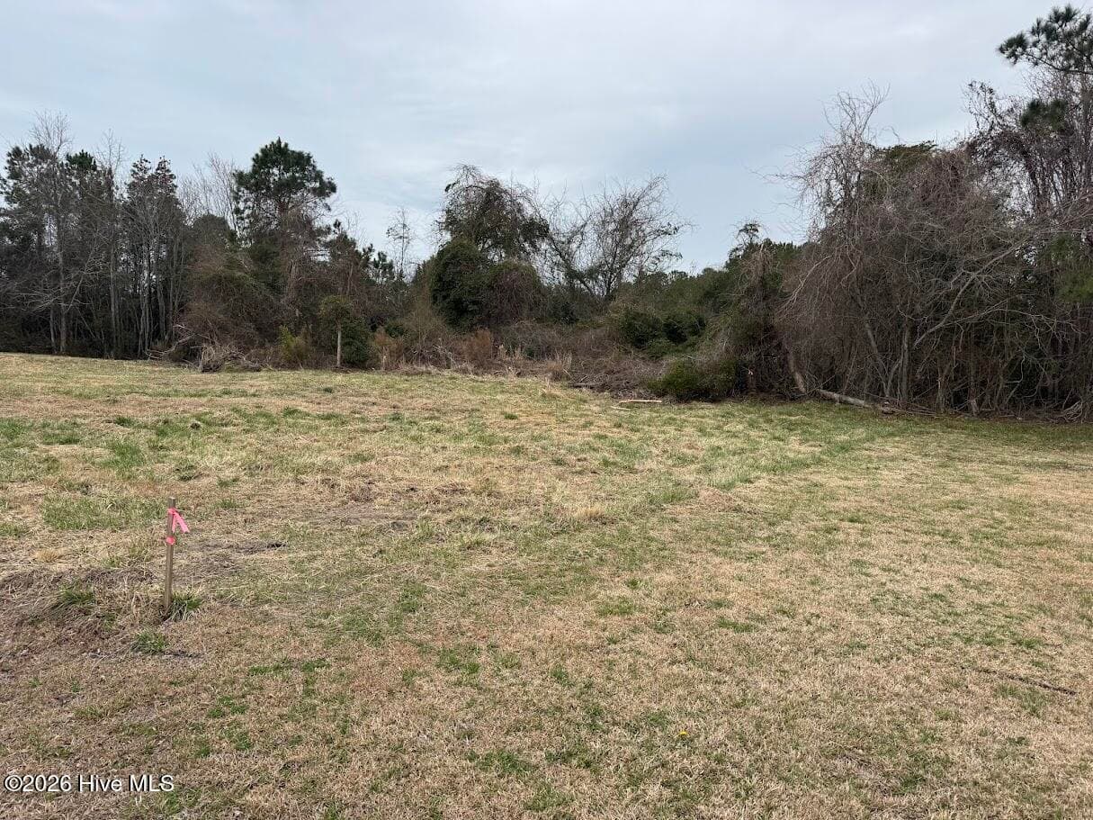 Undeveloped at 0 Horton Drive, Morehead City, NC 28557, Morehead City, photo 3 of 5