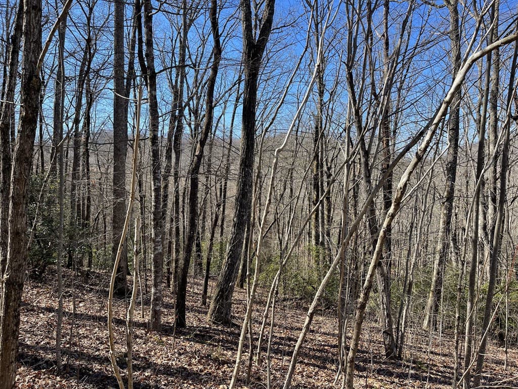 Residential Lot at Lot #53m 53M Ridges, Hayesville, NC 28904, Hayesville, photo 2 of 3