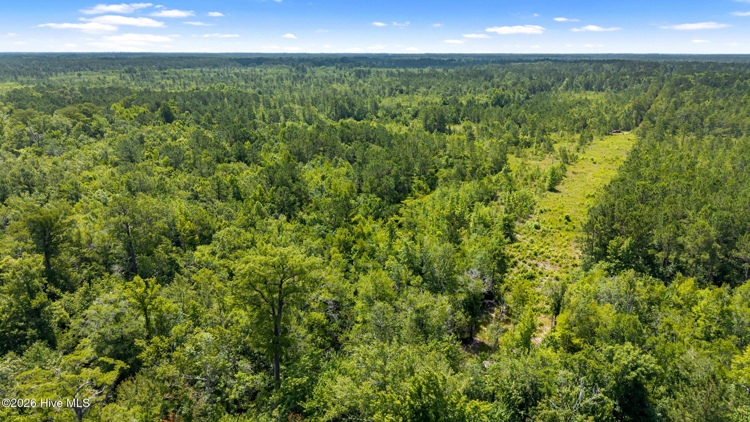Residential Lot at 0 Tbd 110 Acres American Way Road, Rocky Point, NC 28457, photo 4 of 12