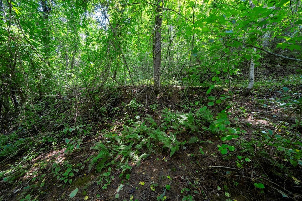 Land at 0 E Buffalo, Robbinsville, NC 28771, photo 3 of 6