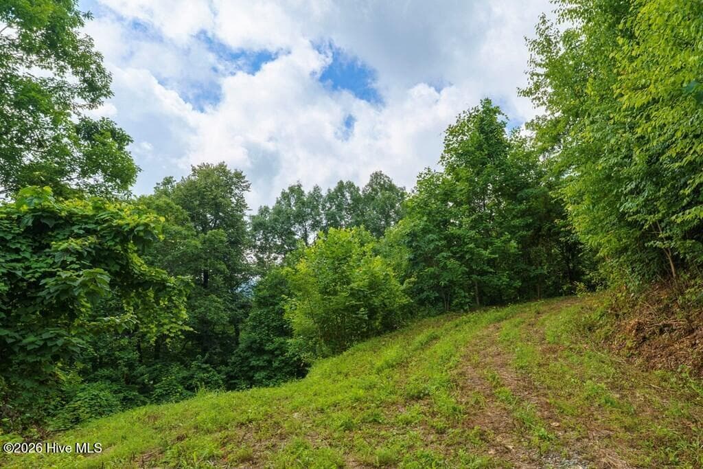Single Family Residence at 235 Rios Drive, Bryson City, NC 28713, Bryson City, photo 20 of 29