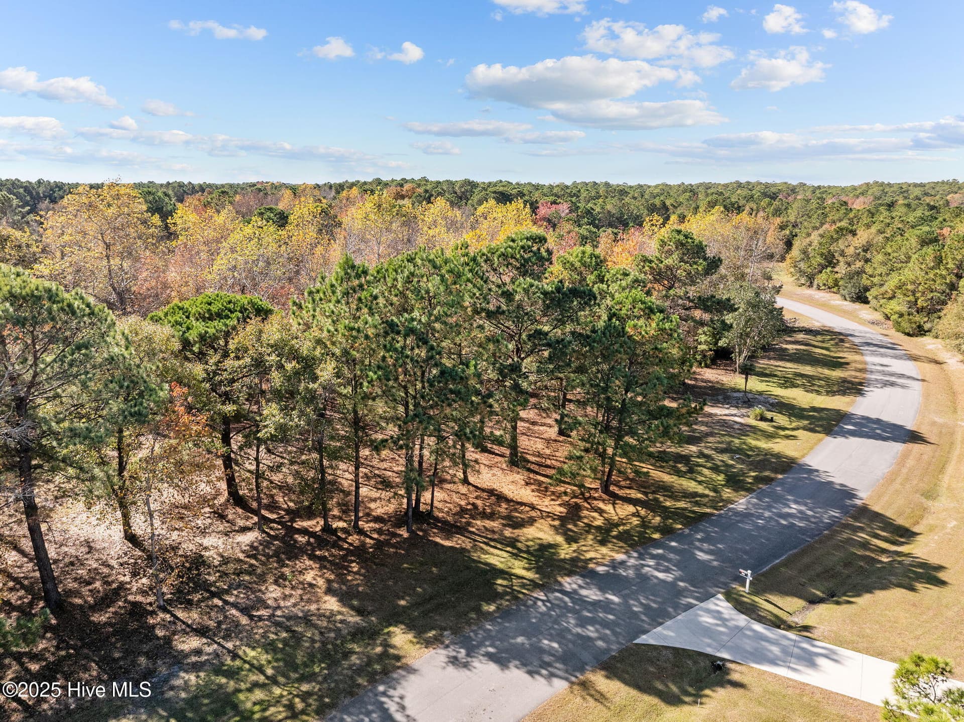 Residential Lot at 138 2 Royal Palms Way, Holly Ridge, NC 28445, photo 14 of 26