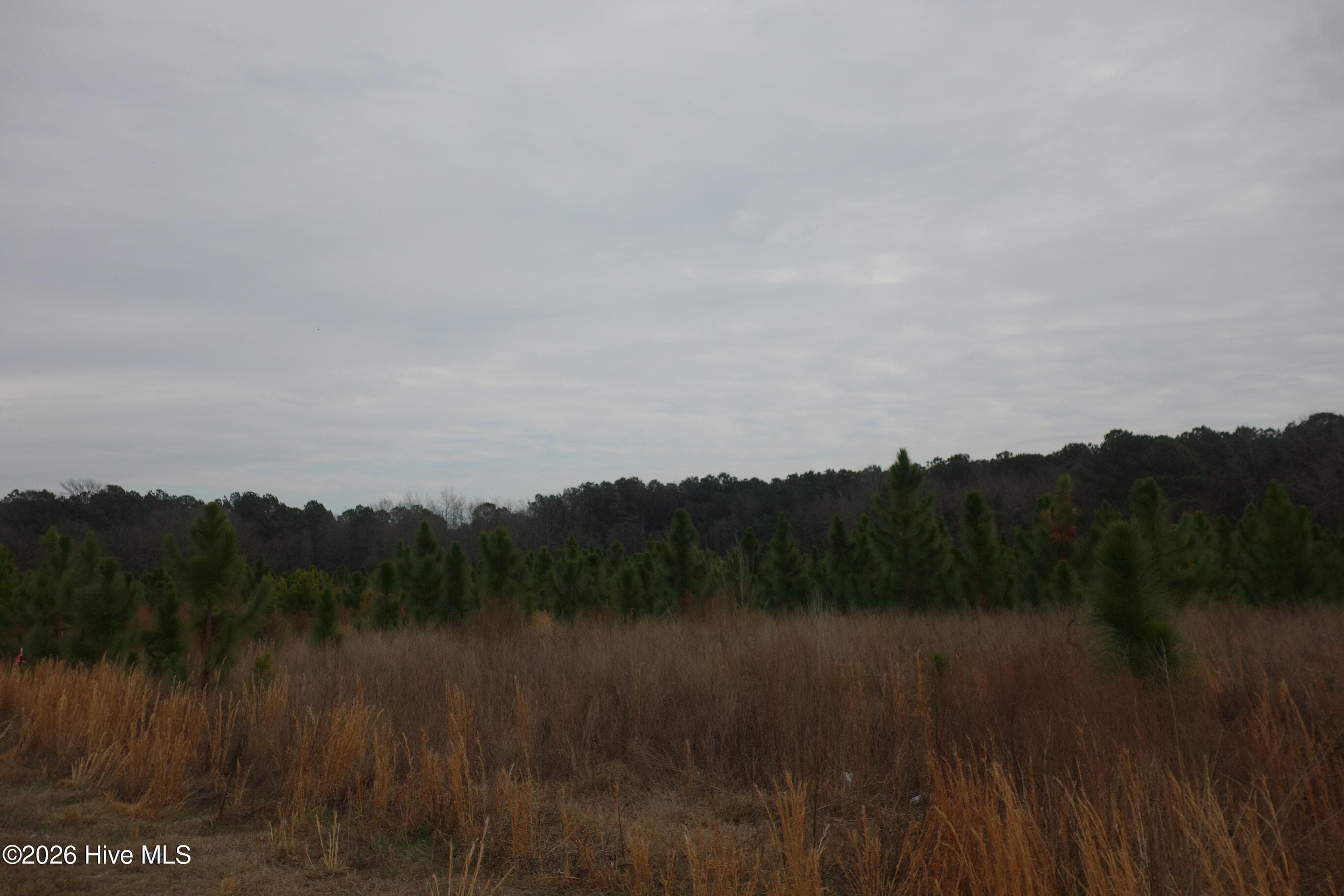 Lot 49 Stuarts Mill Road, Fairmont, NC 28340