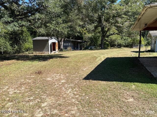backyard with shed - 293 Sunshine Road, Blackville, SC 29817