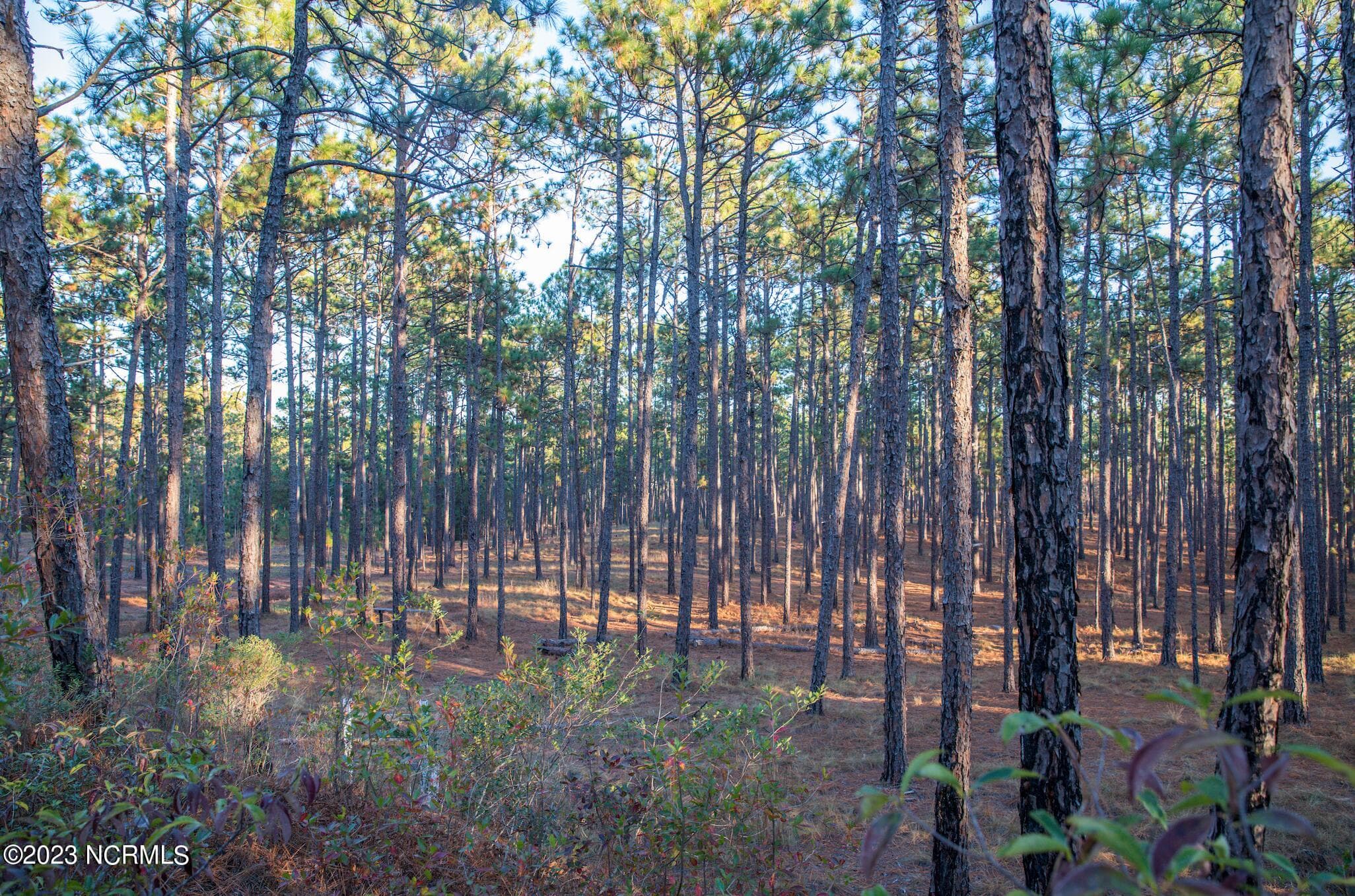 Residential Land at 145 4 Pixie Moss Lane, Southern Pines, NC 28387, photo 3 of 3