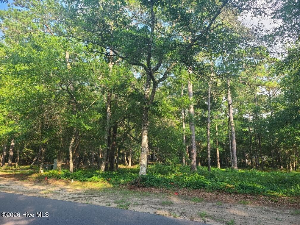 671 115 Cypress Grove Court SE, Bolivia, NC 28422
