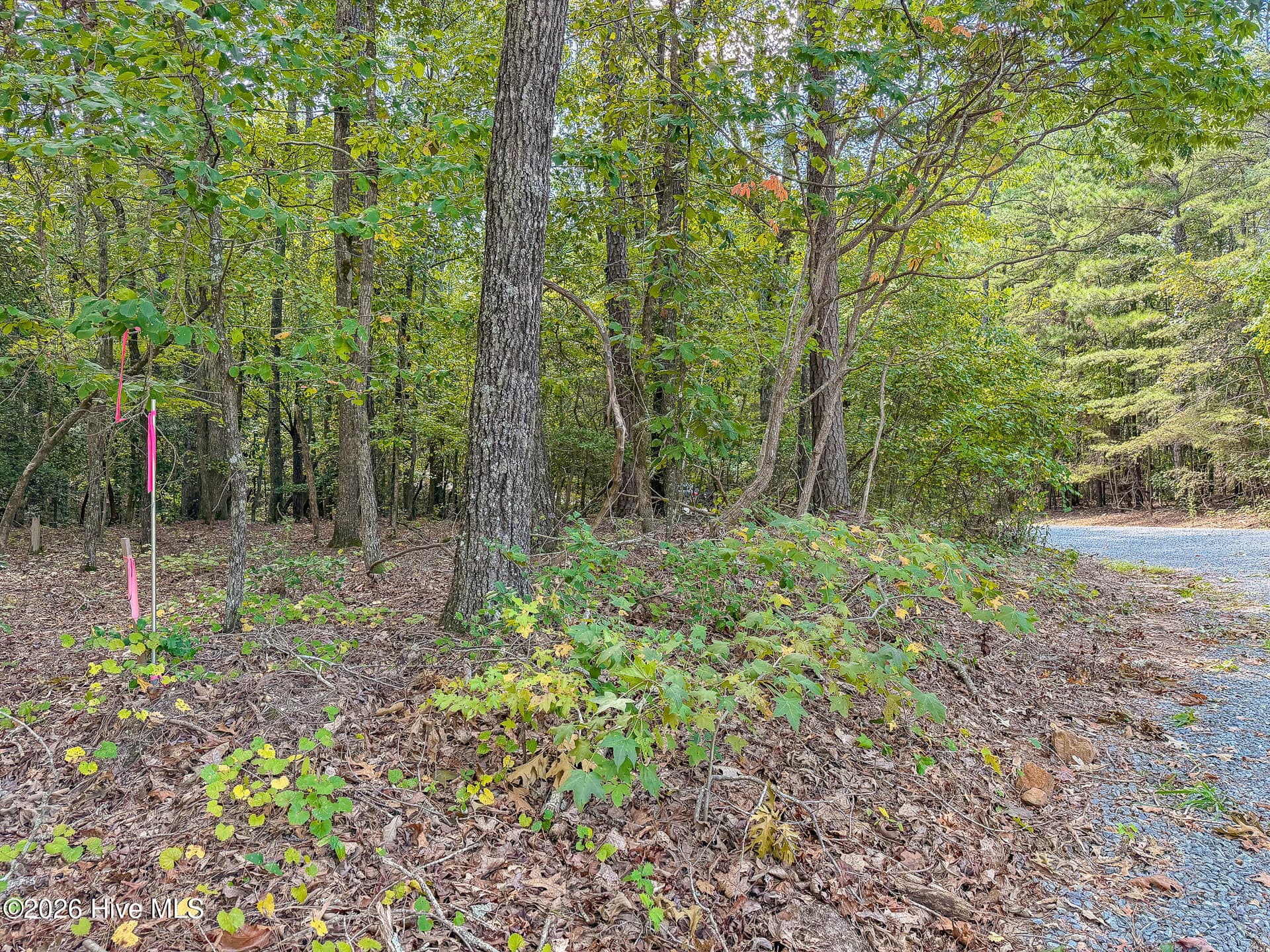 Residential Lot at 104 Western Trail, Carthage, NC 28327, photo 7 of 11