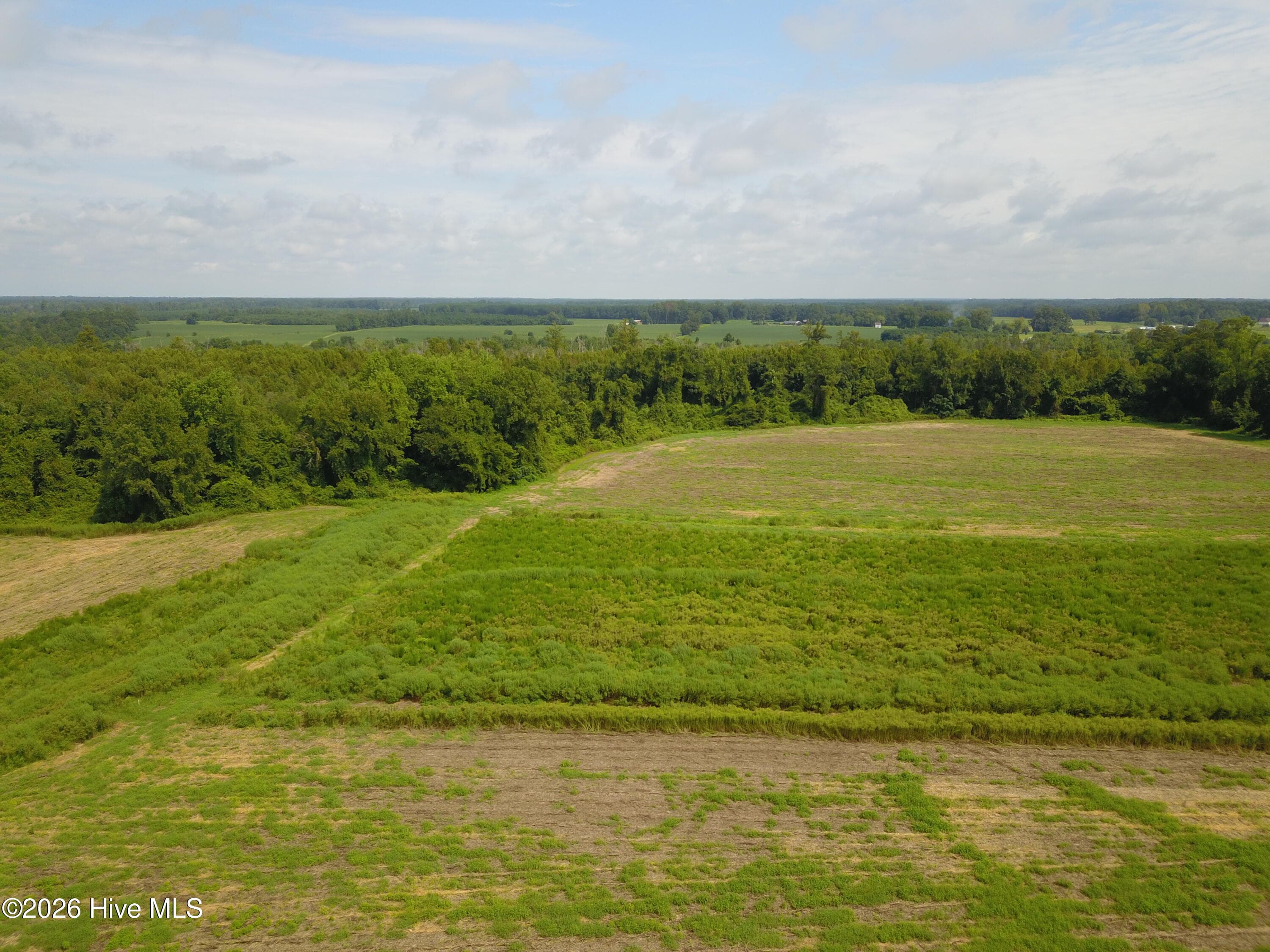 Farm at 2 S Nc 41 Highway, Wallace, NC 28466, photo 6 of 7