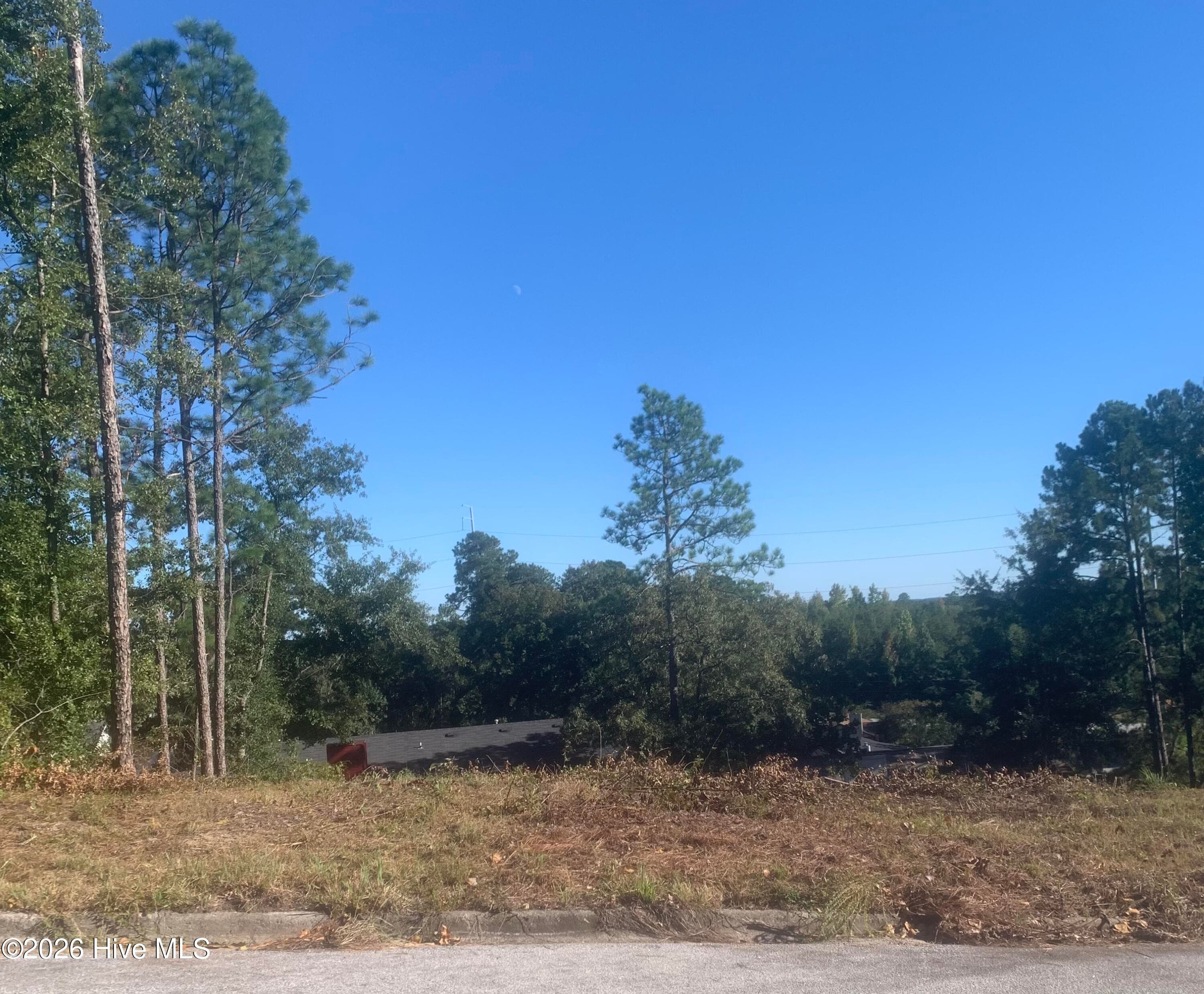 Residential Lot at 2333 Rutherford Avenue, Augusta, GA 30906, photo 2 of 16