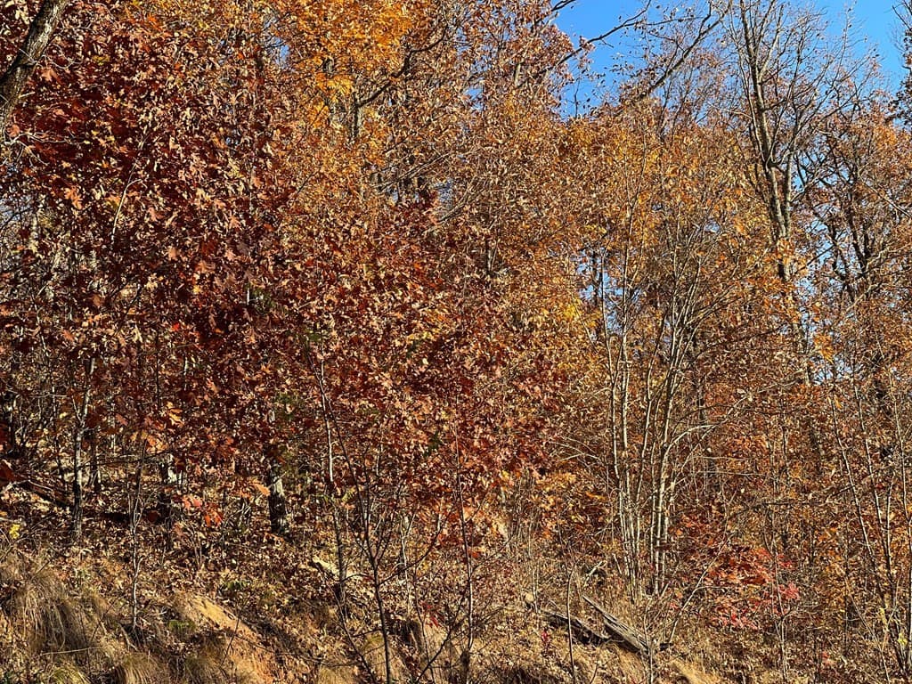 Residential Lot at Lot 58m 58M Ridges, Hayesville, NC 28904, photo 3 of 4