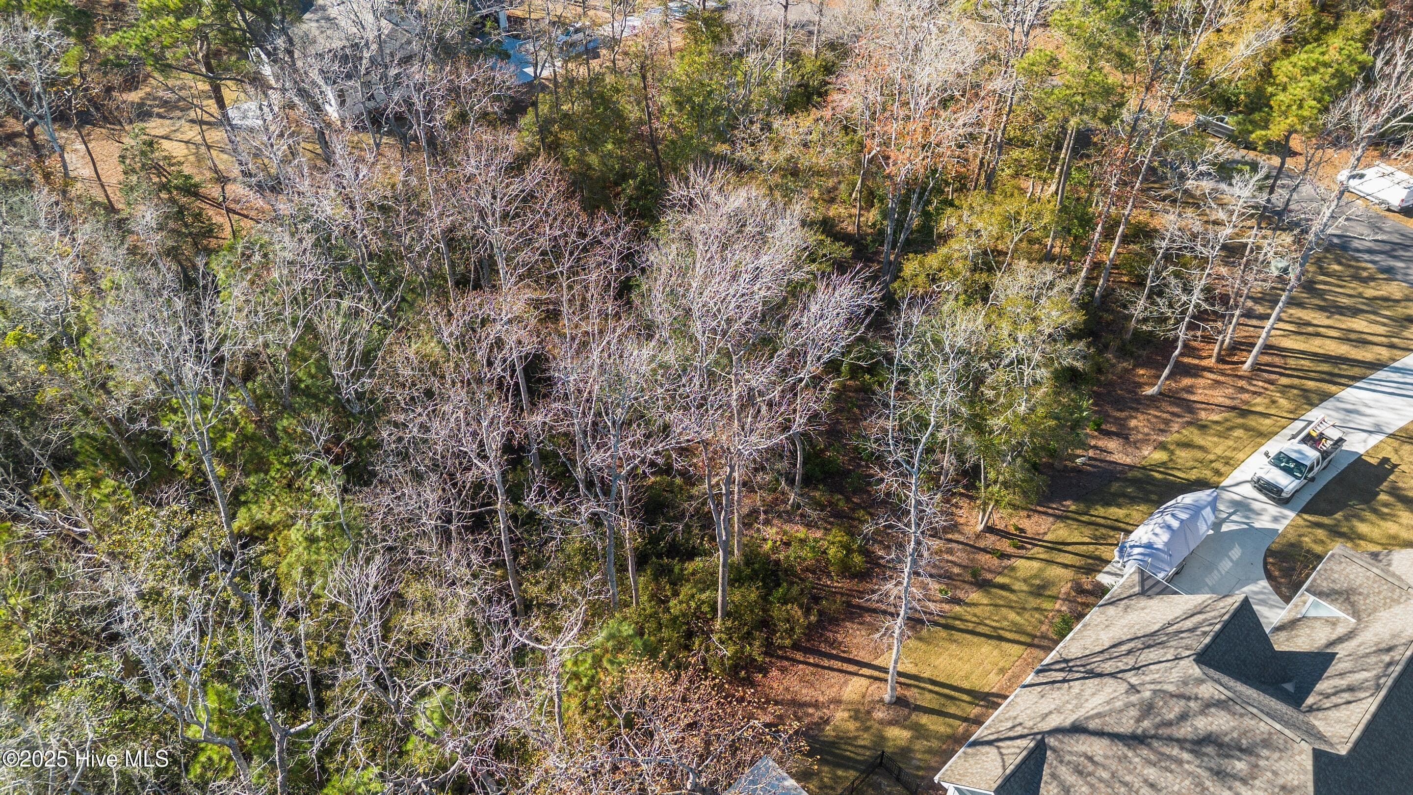 Residential Lot at 1872 185 Healing Water Lane SW, Supply, NC 28462, photo 7 of 29