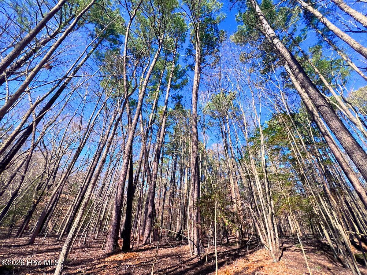 0 Nc 98 Highway, Spring Hope, NC 27882
