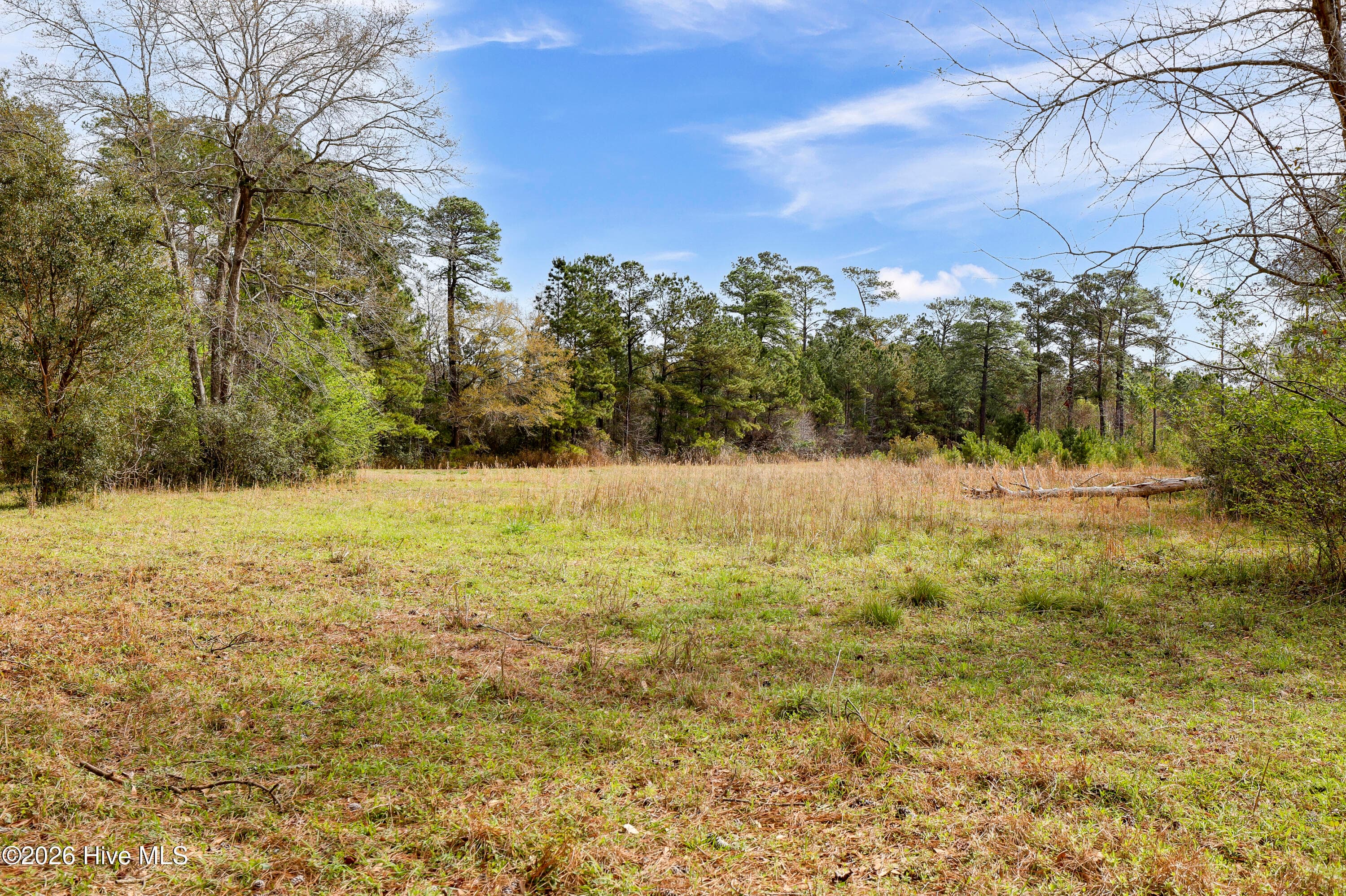 Residential Lot at 5535 Tract 2 Fulton Avenue, Castle Hayne, NC 28429, photo 7 of 16